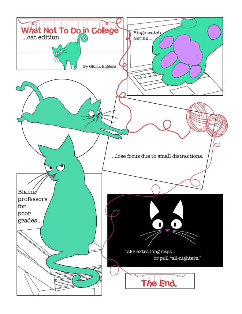 Summer Comics: What not to do in college…the cat edition