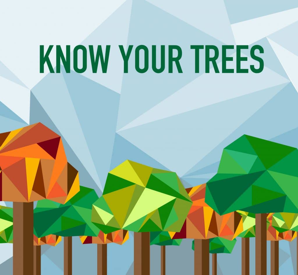 Everything you wanted to know about the trees on campus (but were afraid to ask)