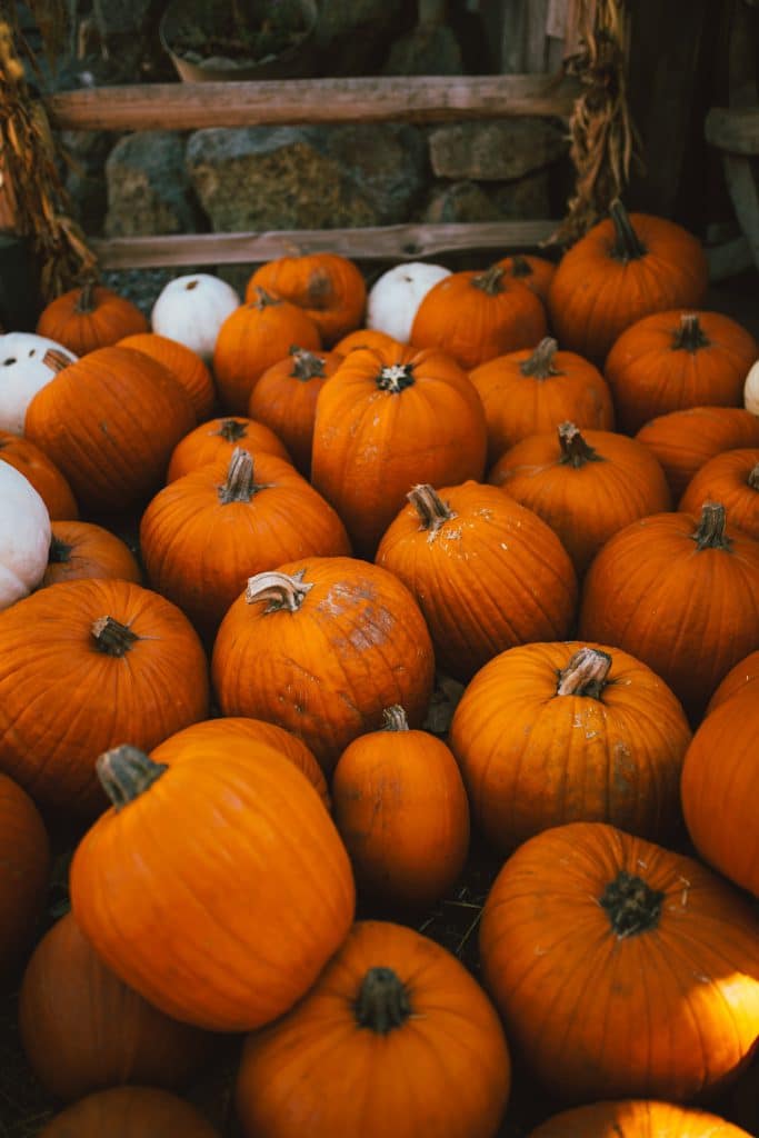 National Pumpkin Day