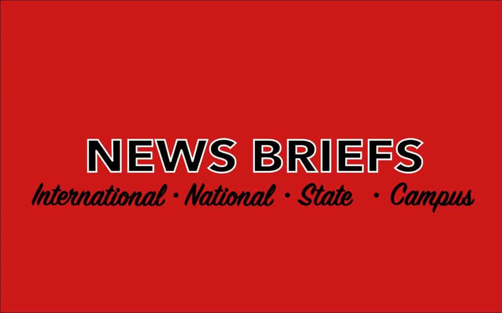 News Briefs