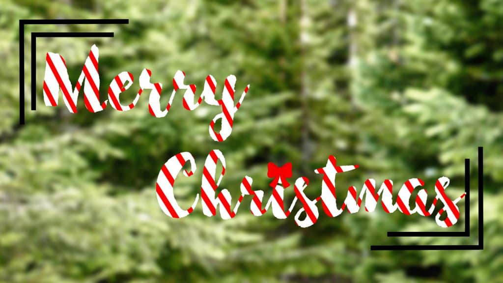 Merry Christmas from North Greenville University