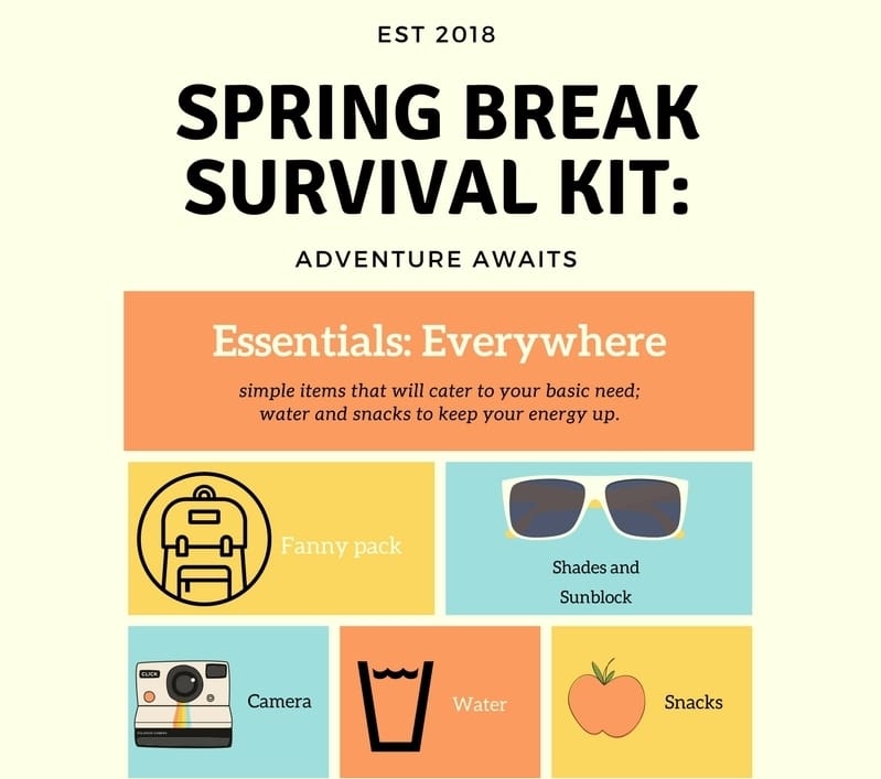 Spring break survival kit