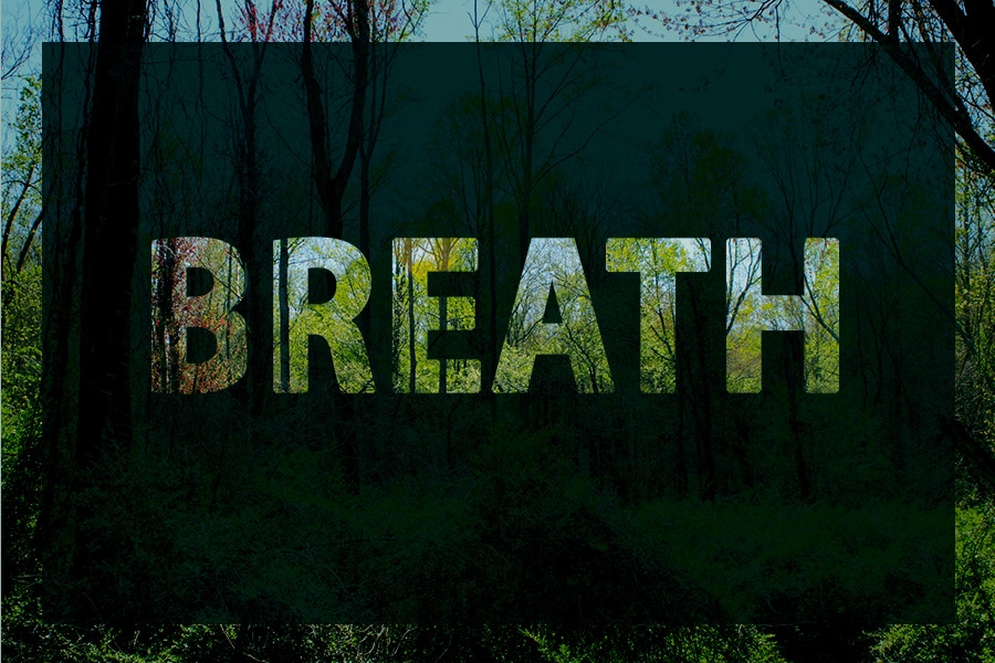 Forest Breathing Graphic