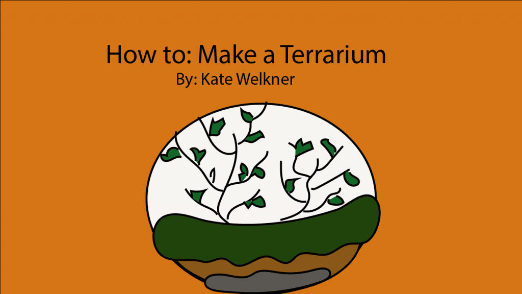 It’s Water-A-Flower Day: Here’s how to make a terrarium