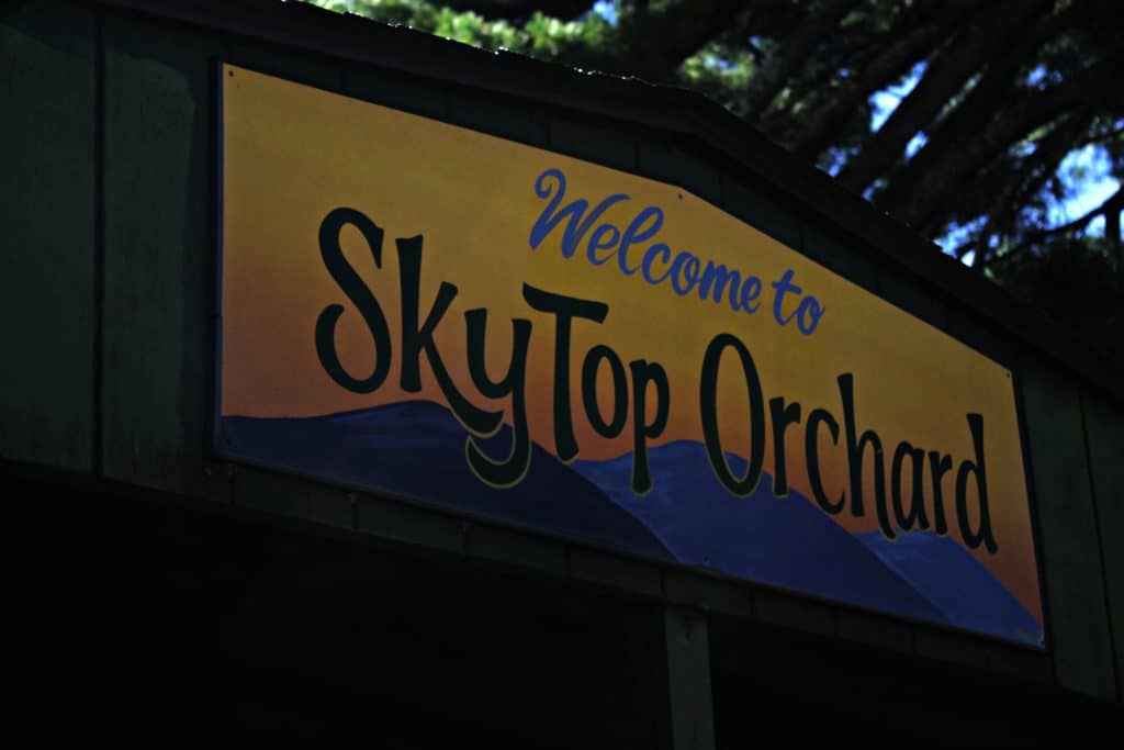 Exploring Skytop Orchard