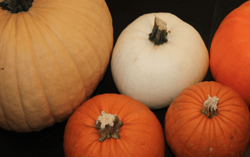 DIY pumpkin ideas for Halloween