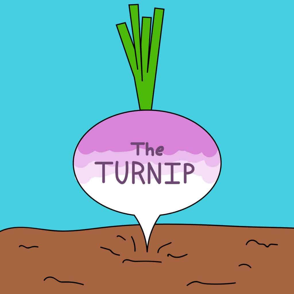 The Turnip: News so Real it Sounds Fake