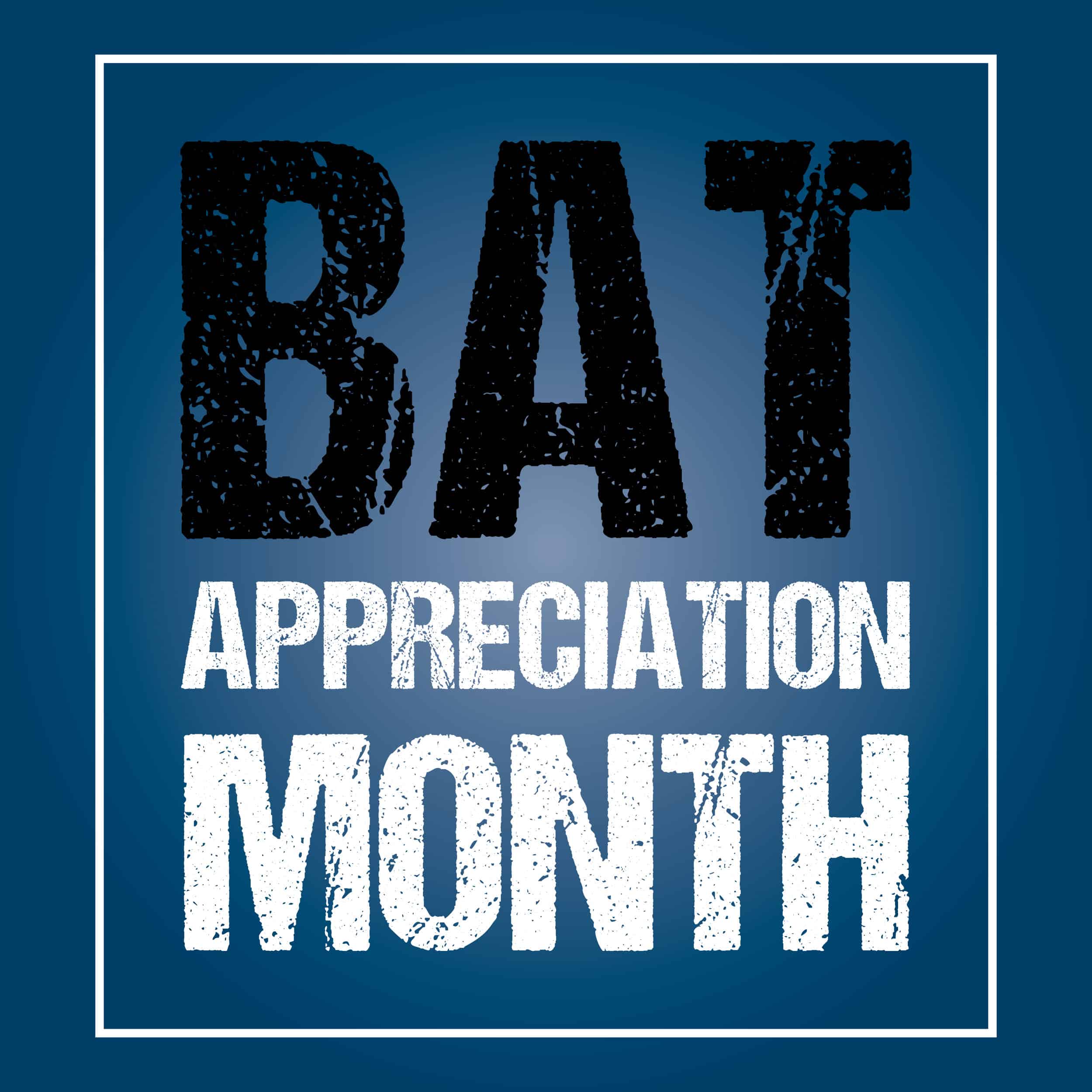Prepare for Bat Appreciation Month with these facts about bats The