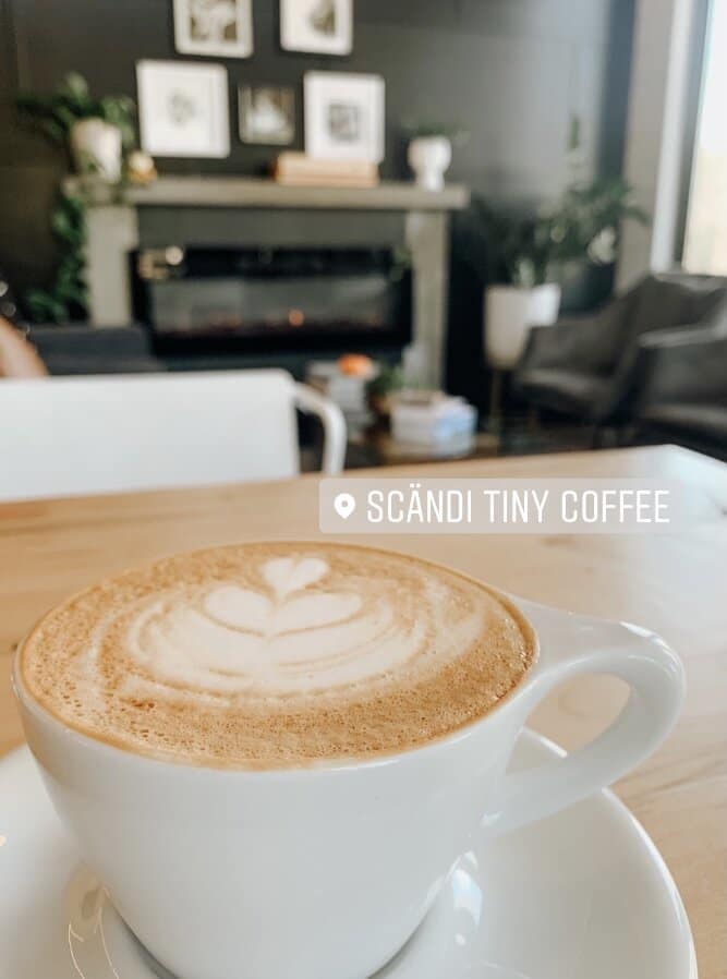 Last but not least is Scandi Tiny Coffee in Greer, a North Greenville favorite because of its close proximity to campus. Here, I order an agave latte or a seasonal drink. Their current pumpkin latte offering is delicious.