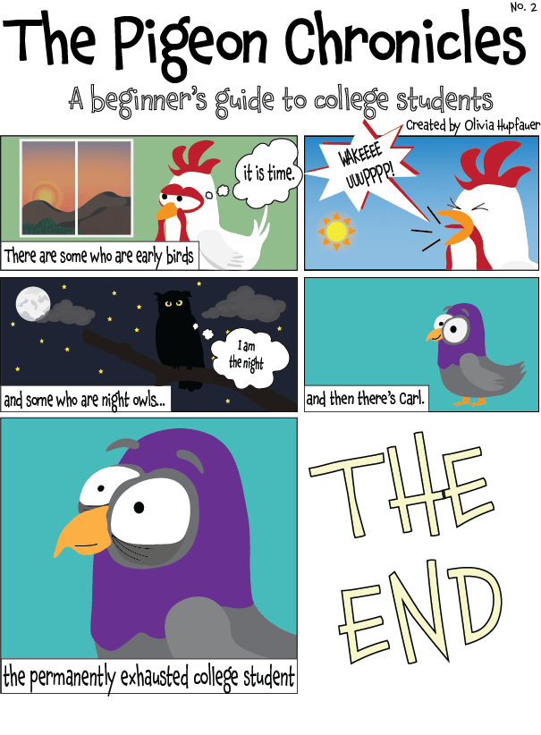 The Pigeon Chronicles- A Beginner’s Guide to College Students