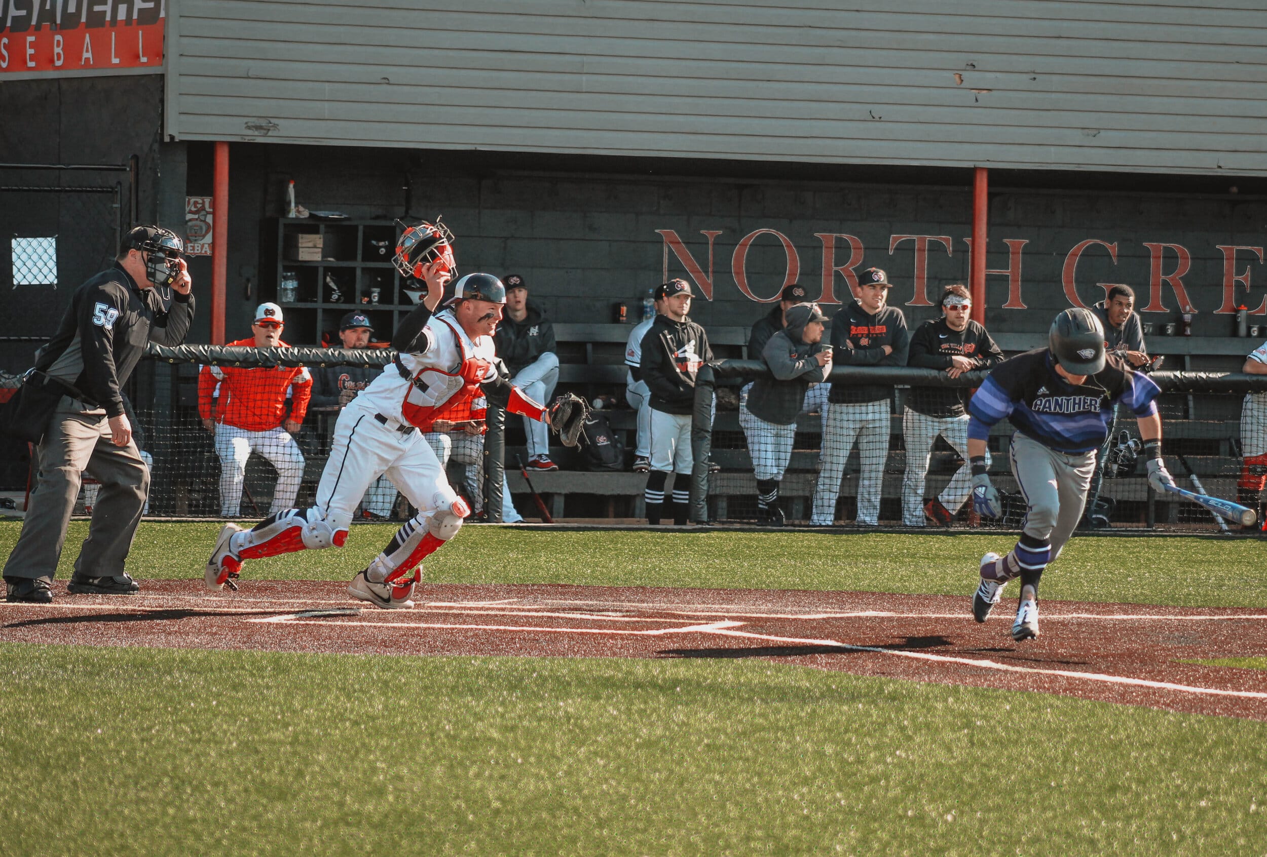 After a Panther player bunts the ball, Lex Tuten (23), a junior catcher for NGU, runs forward after the ball.