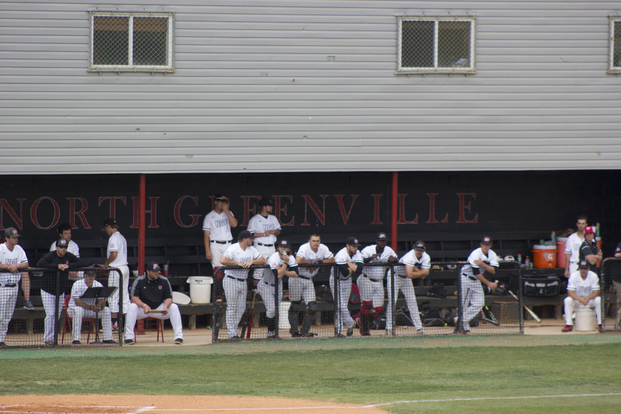 The NGU dugout is set to cheer on their teammate during an at bat.