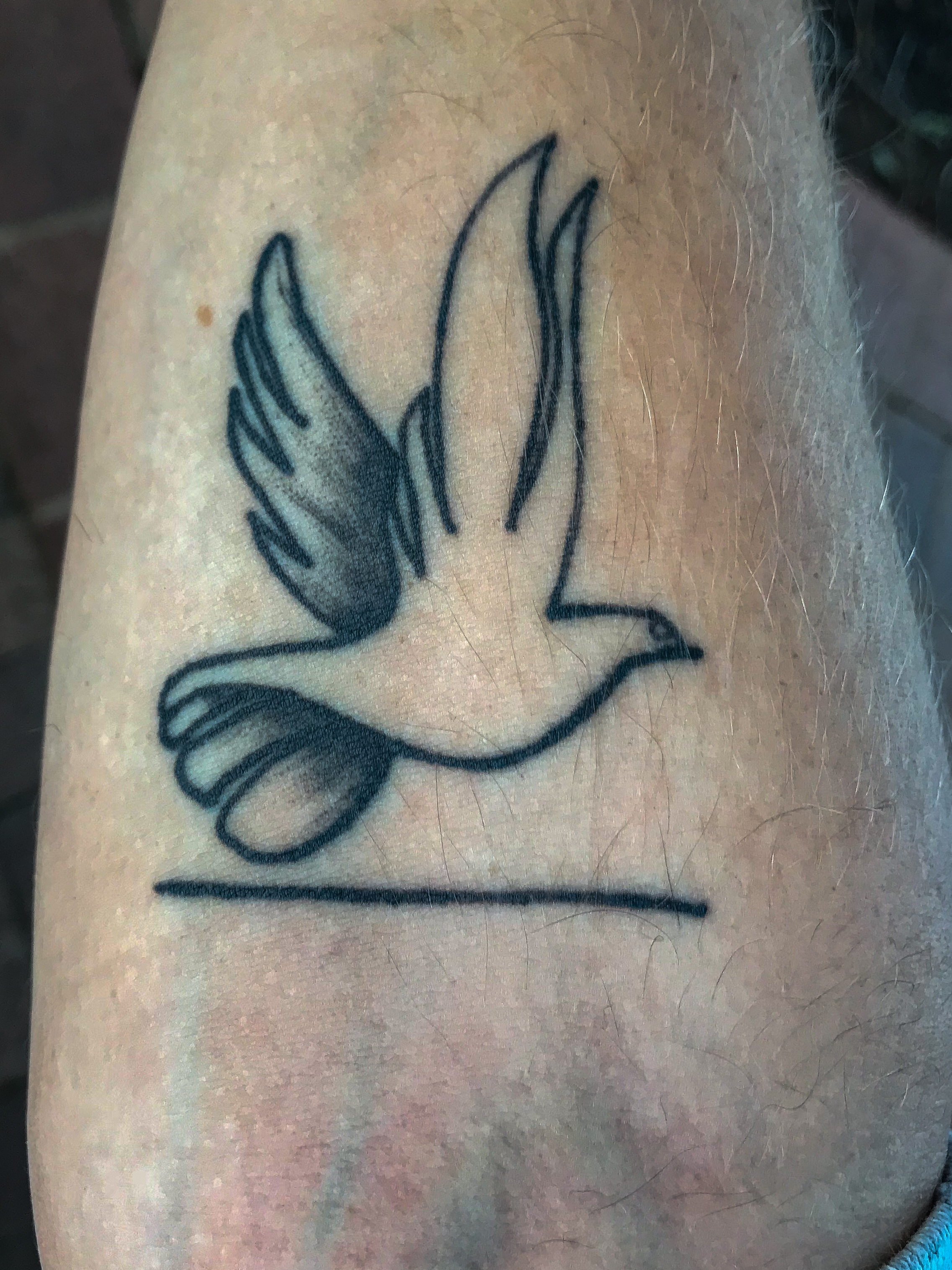 This is Jon Keseys tattoo that represents the Holy Spirit and calm waters. Kesey got this tattoo after his father passed away of brain cancer. During his fathers time here, he reminded Jon that everything would be fine because we have been given t