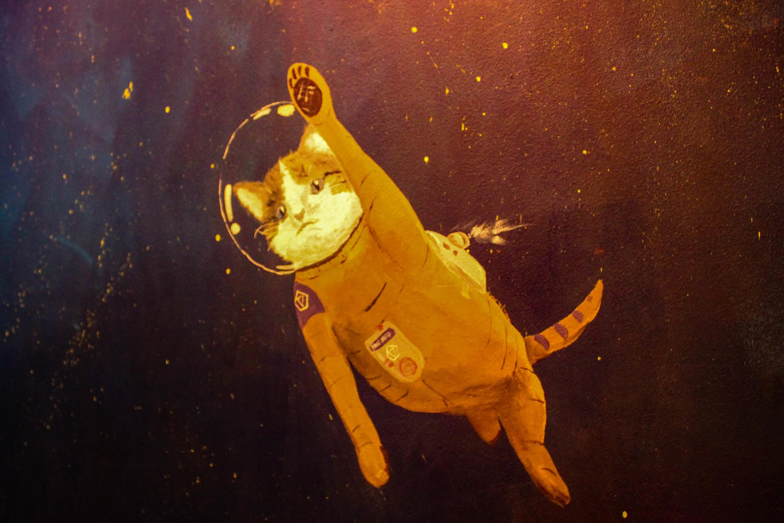 Along the walls leading up to the second floor there were cats painted as astronauts.