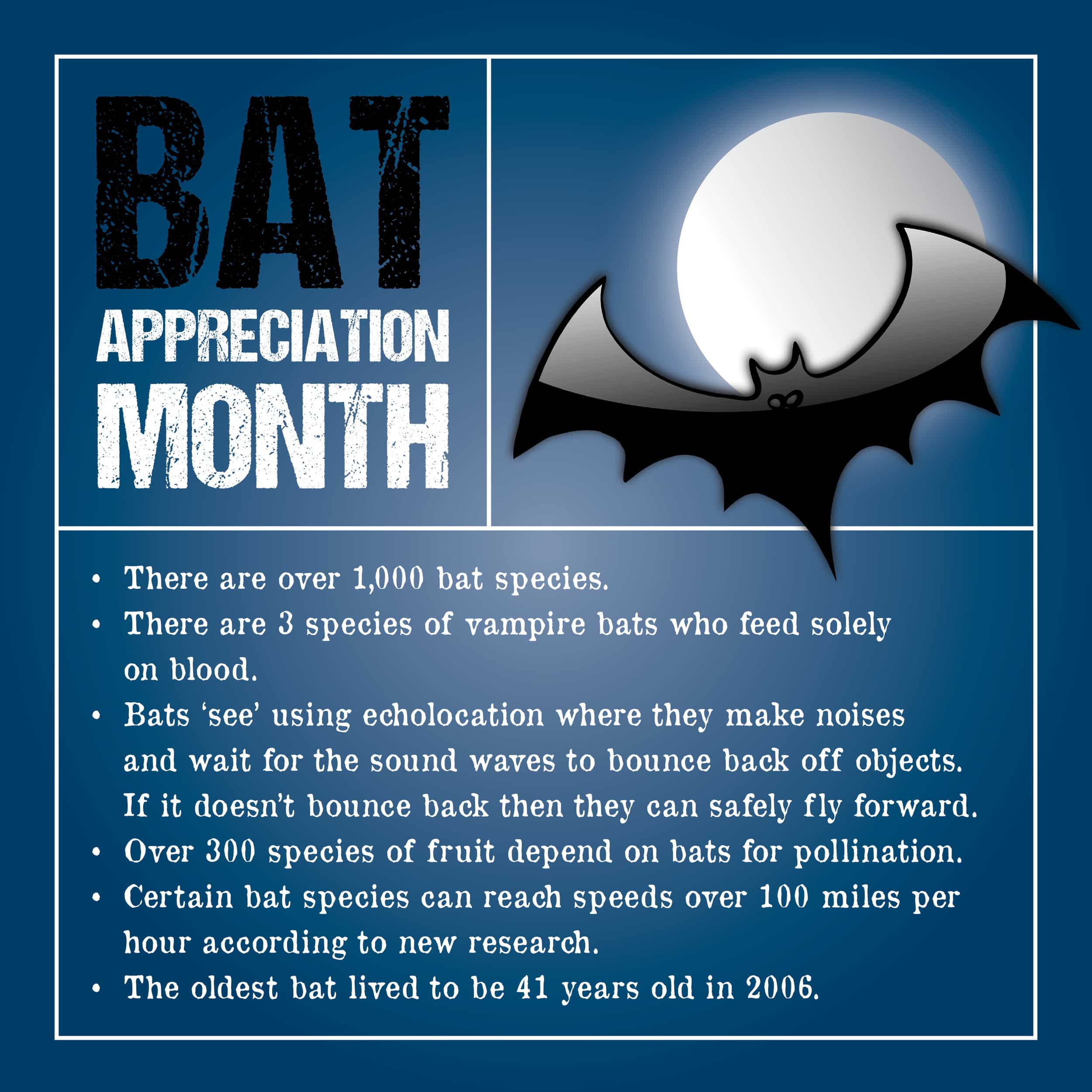 October is Bat Appreciation Month, so here are some fun facts about bats to prepare you for the month. These facts were provided by Science Kids.