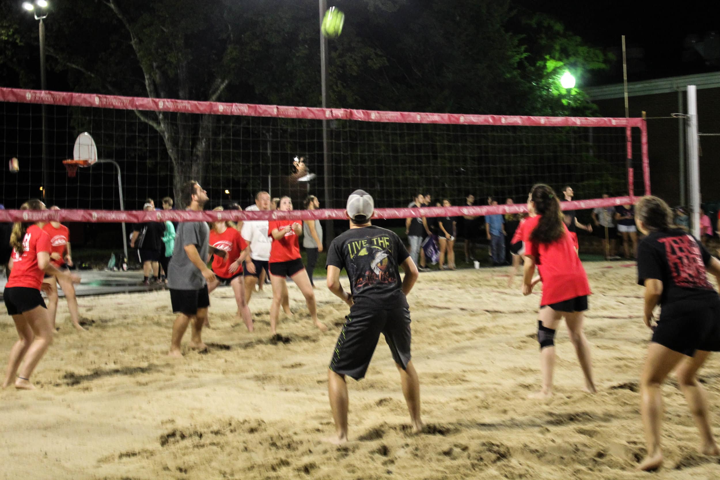 The animal science club (black) squat to hit the ball back to the campus ambassadors (red).