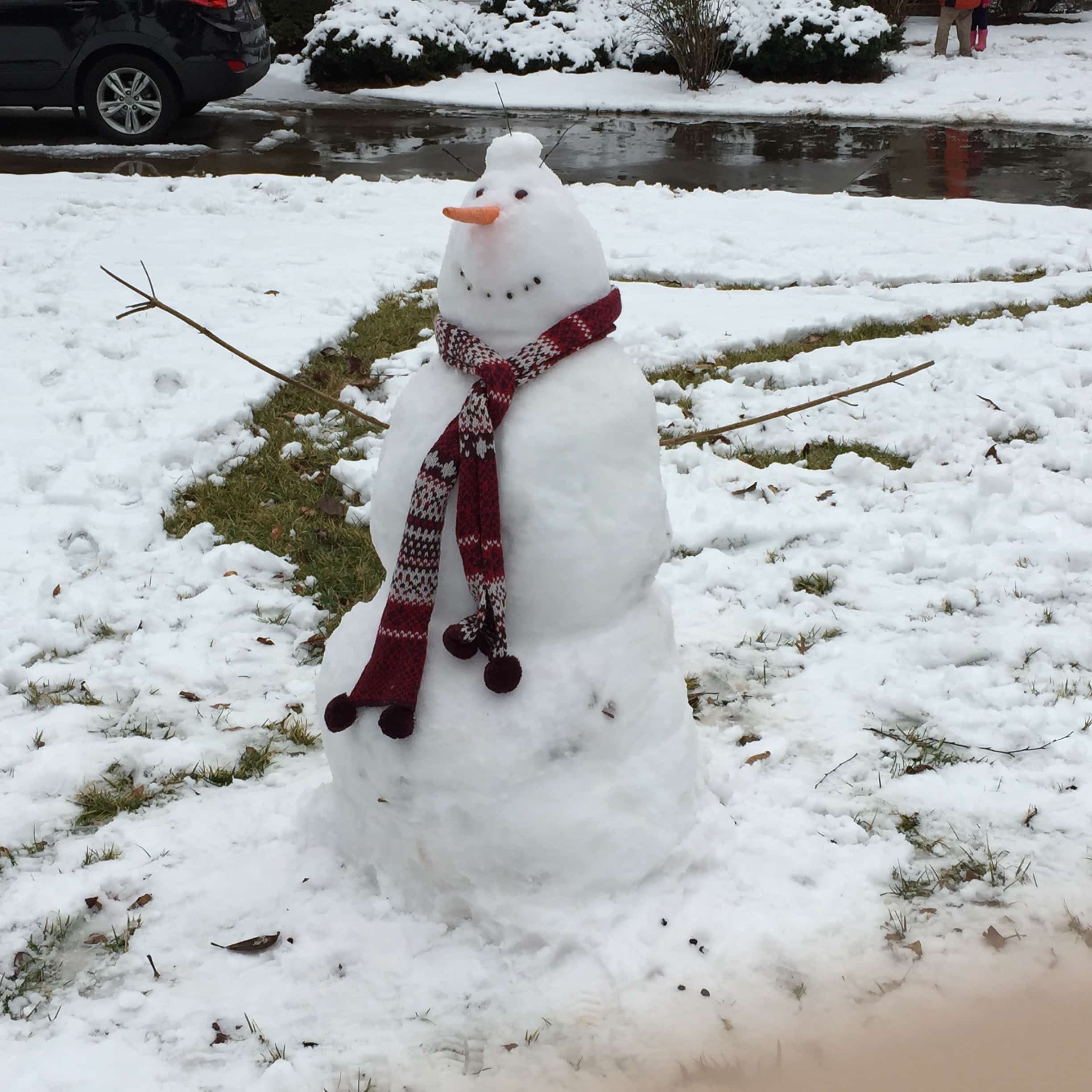 Commuters enjoy the snow too! Photo by Abbi Webb&nbsp;