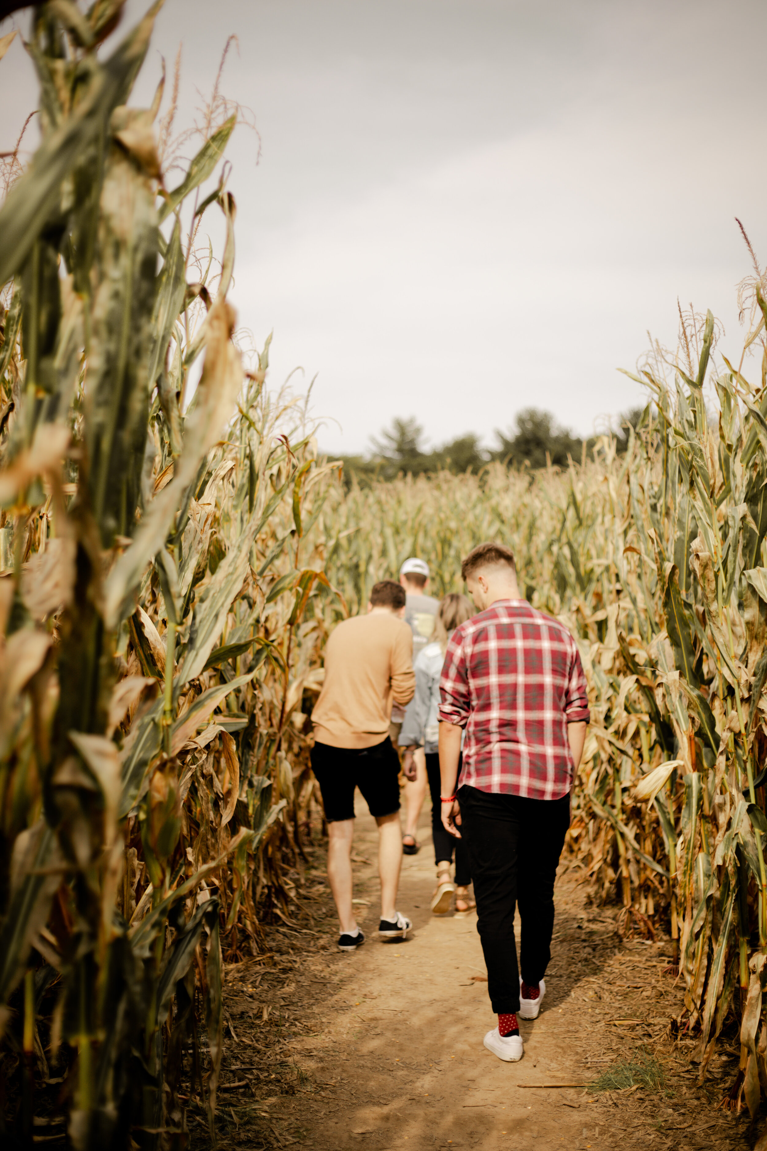 Think you have a good sense of direction? Test your skills by trying to navigate the corn maze with a group of friends.