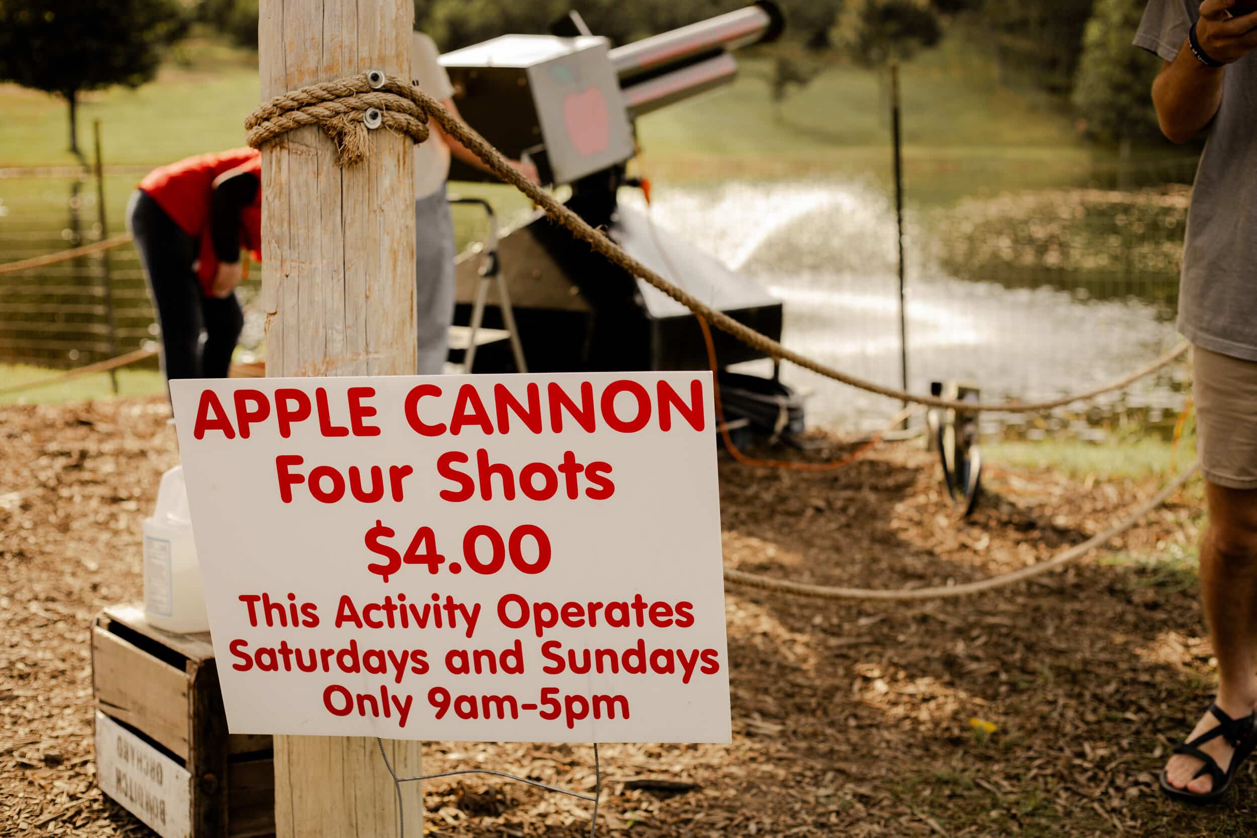 The apple cannon is a unique attraction that is very popular at Grandads. But get there early because the line fills up fast.