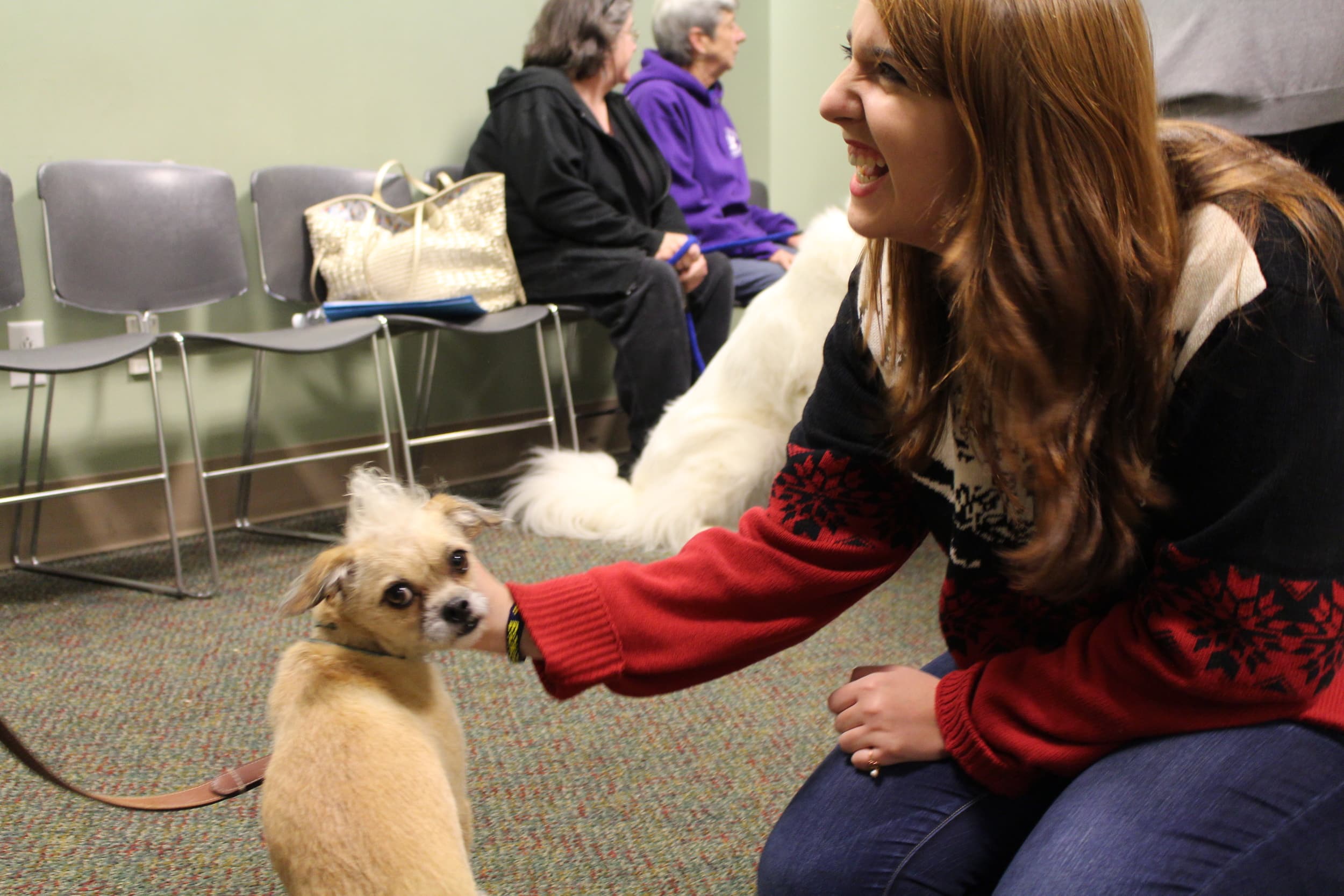 Emma Cross shares a laugh and enjoys the dogs on campus.