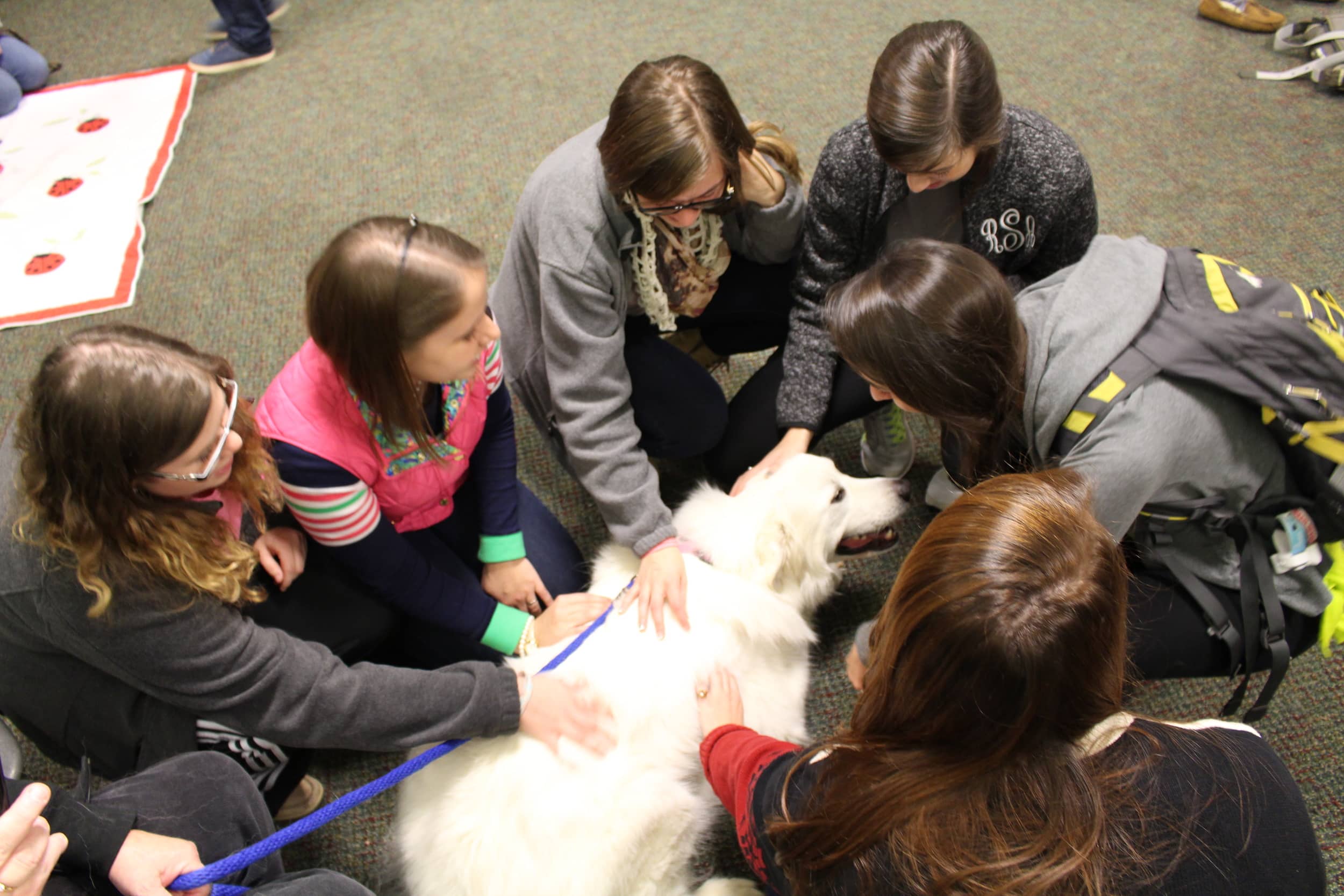 A group of students finding relief during this stressful week.