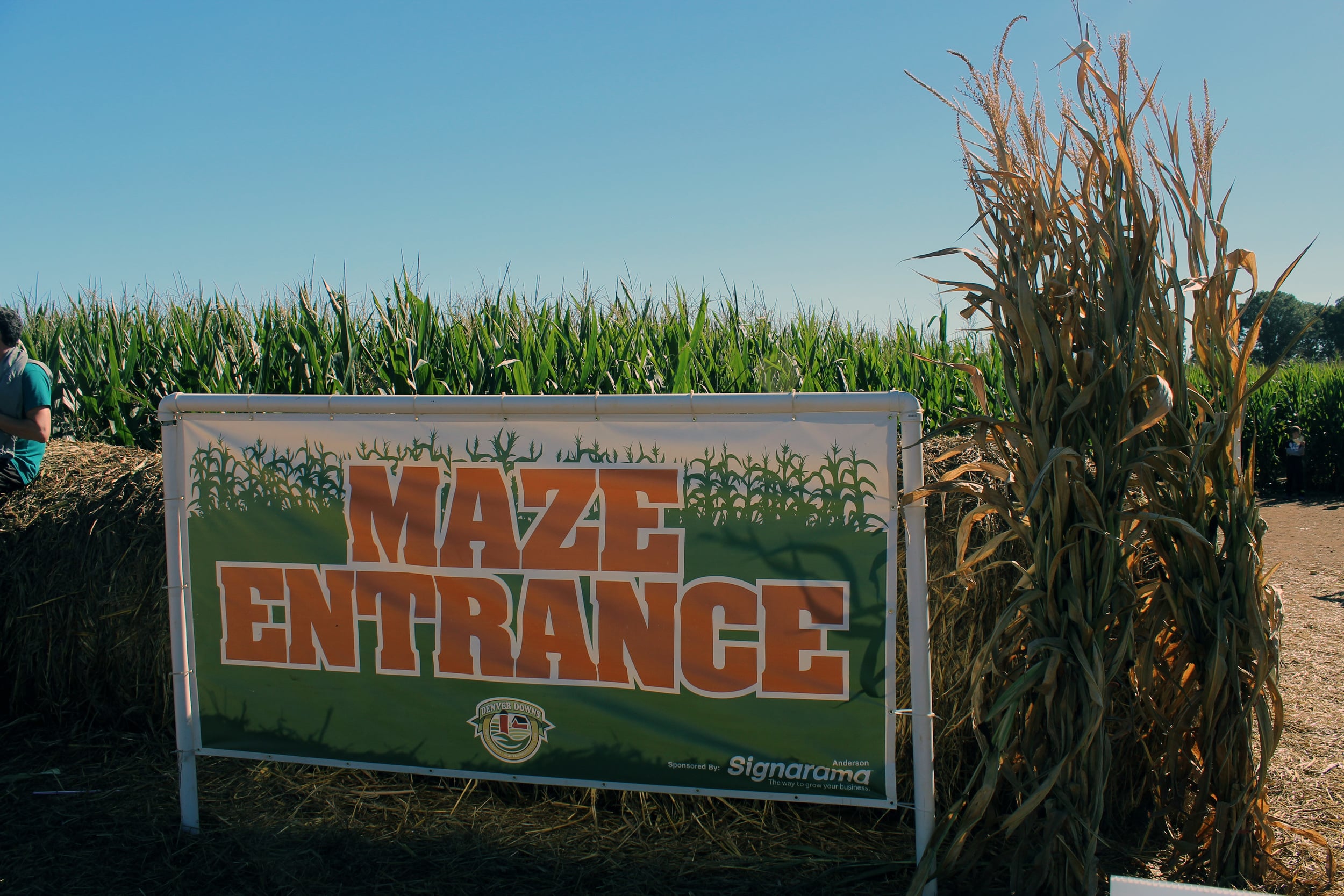 &nbsp;Up to the Challenge of the corn maze?