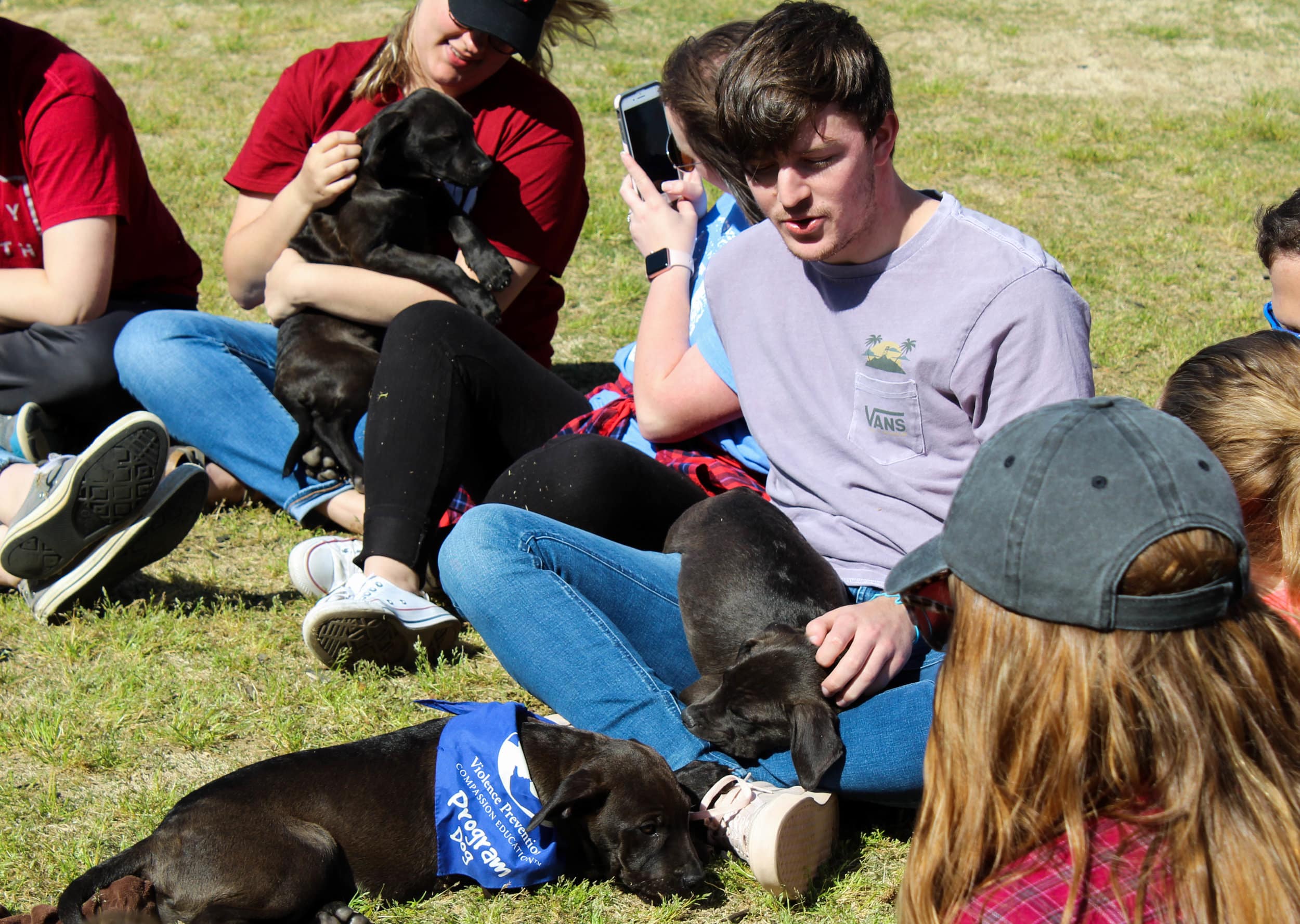 Nick Boggs holds a sleeping puppy in his lap as another puppy plays with his laces.