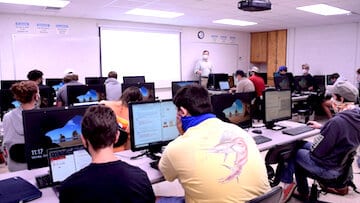 Students in an IT class