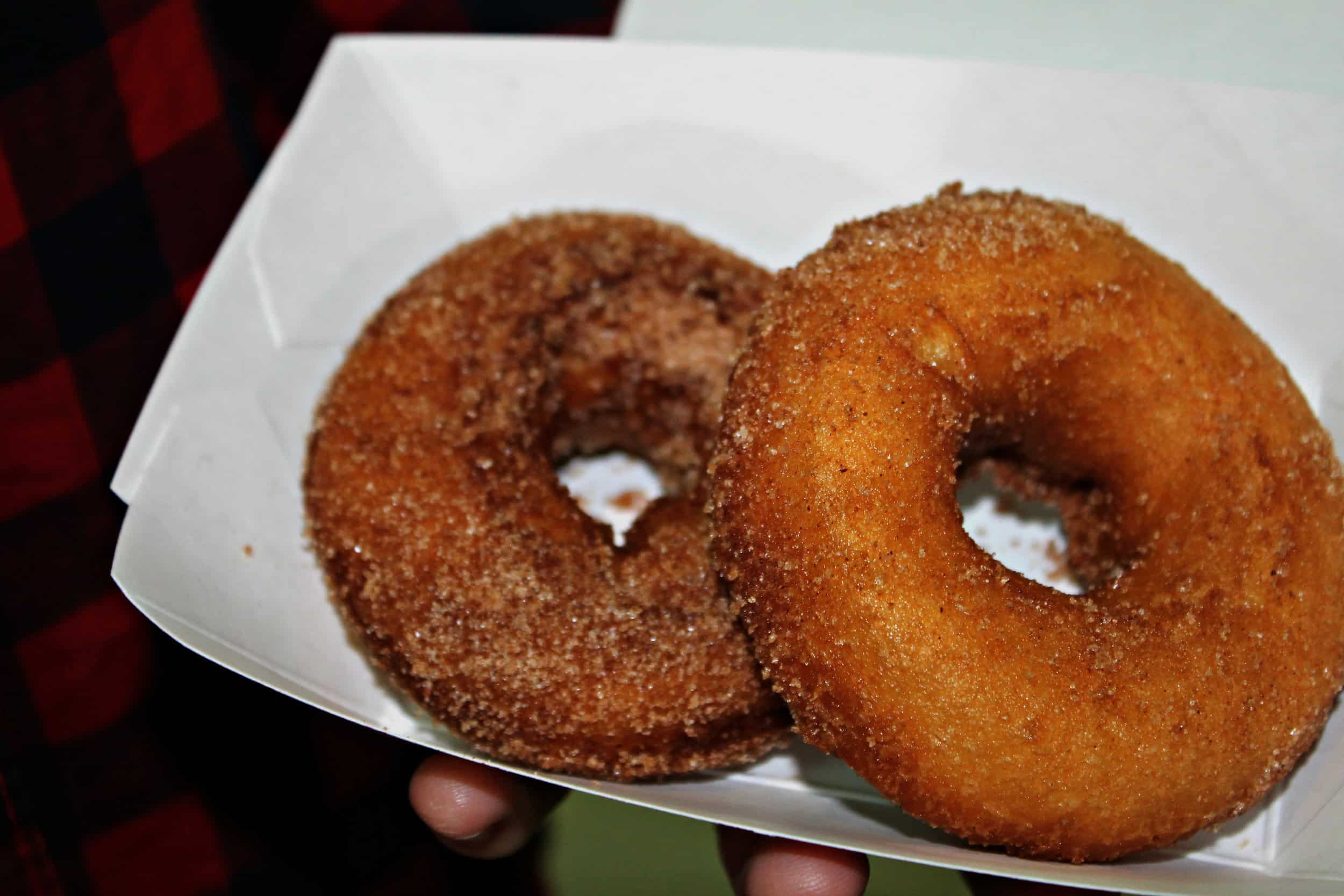 After picking a basket of apples, go satisfy your sweet tooth by grabbing a couple of fresh fried apple cider donuts, they are only $1 each. These treats are something that anyone from North Greenville University would enjoy and the price is well wo