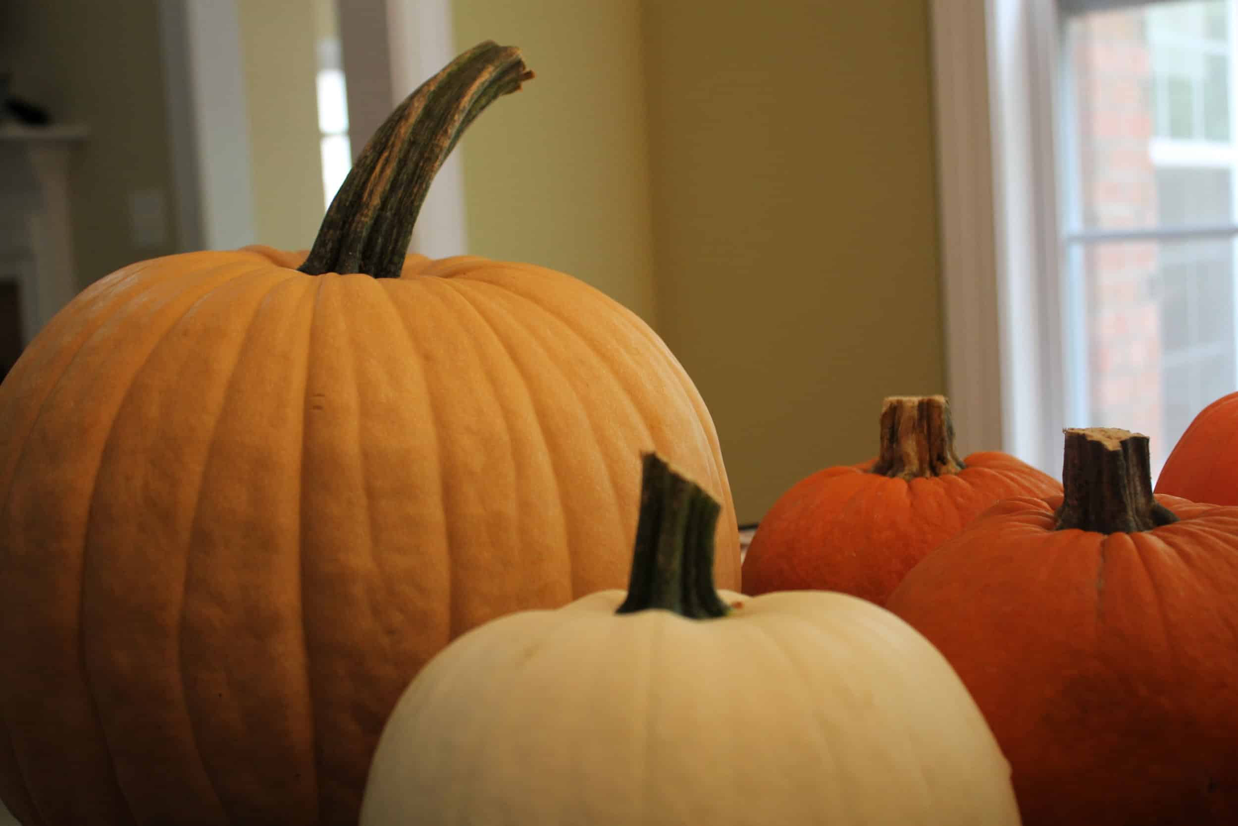 Before you can start decorating you must pick a pumpkin. Some people opt out for a plastic pumpkin but if youre wanting to be a little more traditional, stop by your local pumpkin patch or Walmart to grab that round orange bundle of joy.