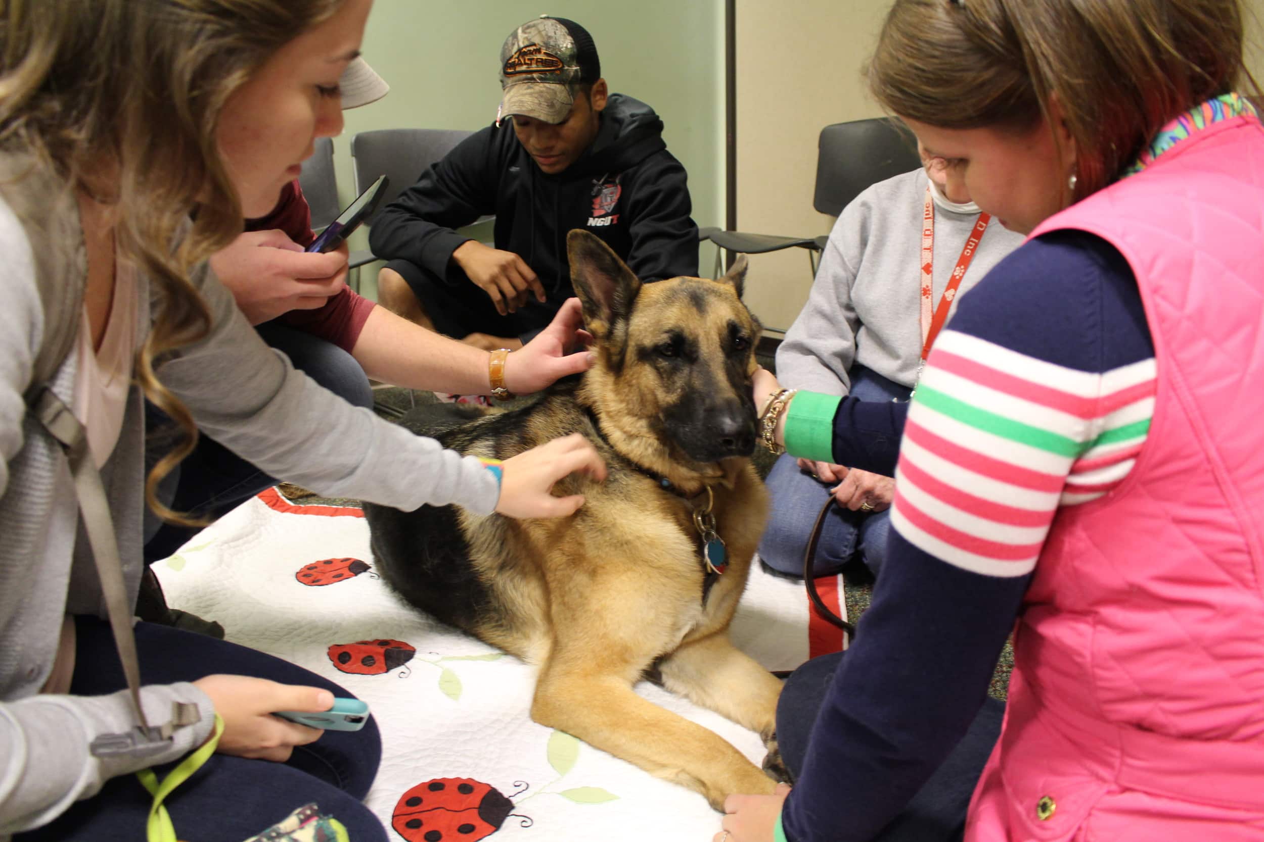 Who's enjoying this petting more, the students or the dog?