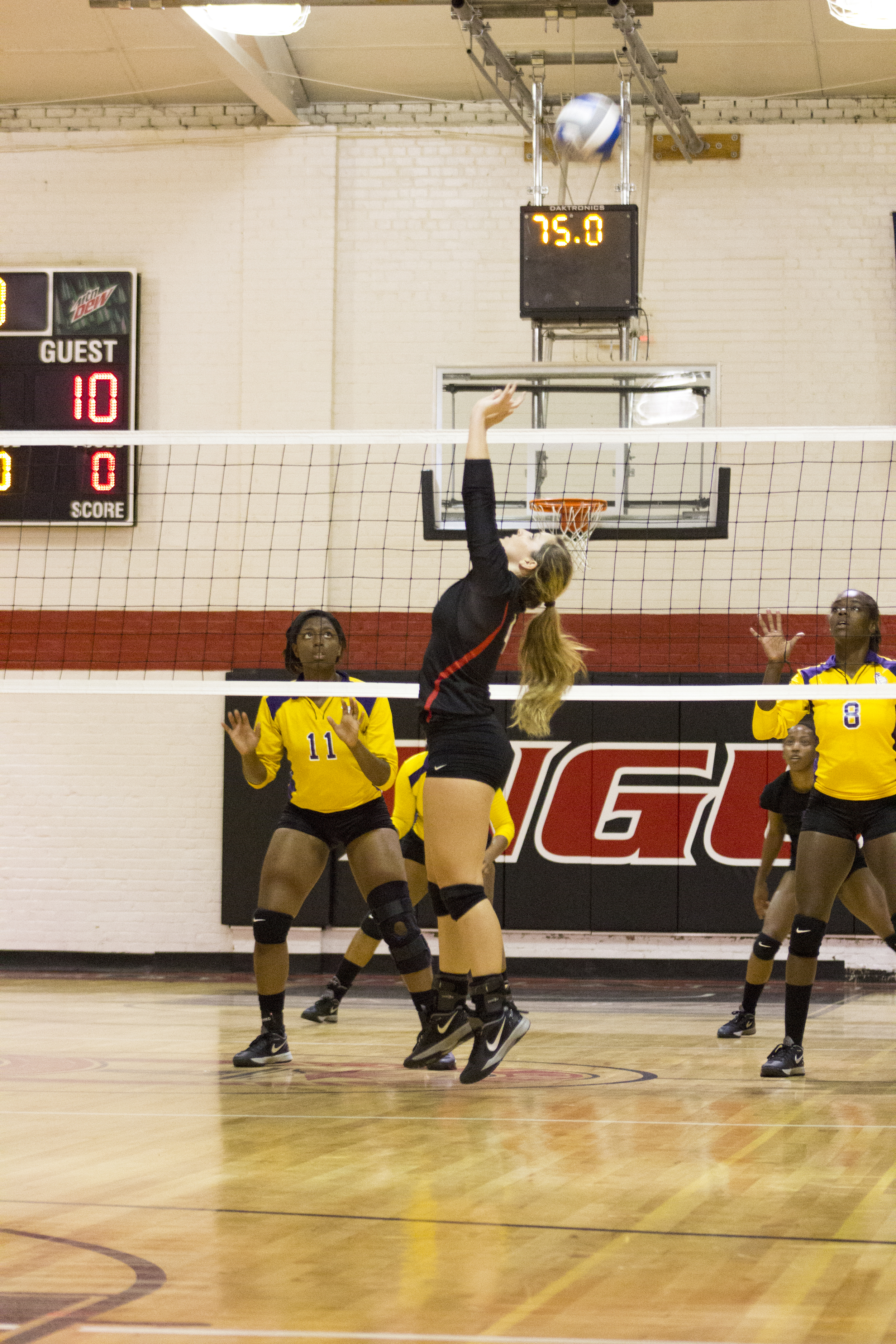  Sophomore Ashlyn Wilkinson jumps up and sets the ball.&nbsp; 