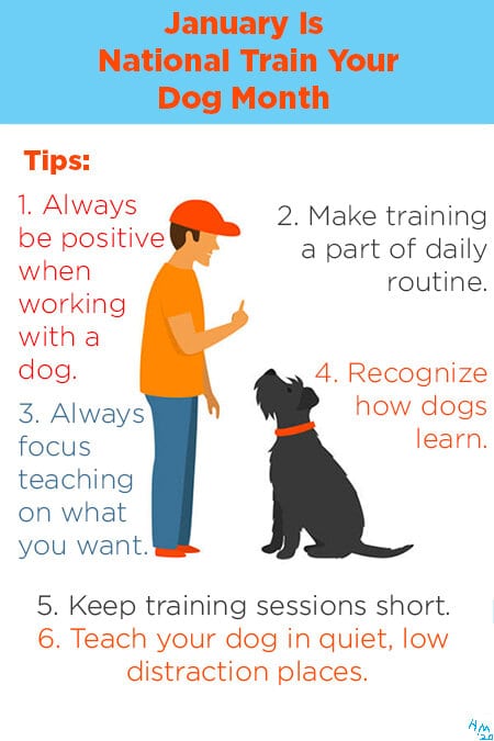January is National Train Your Dog Month so in honor of that here are some tips on how to train your dog.
