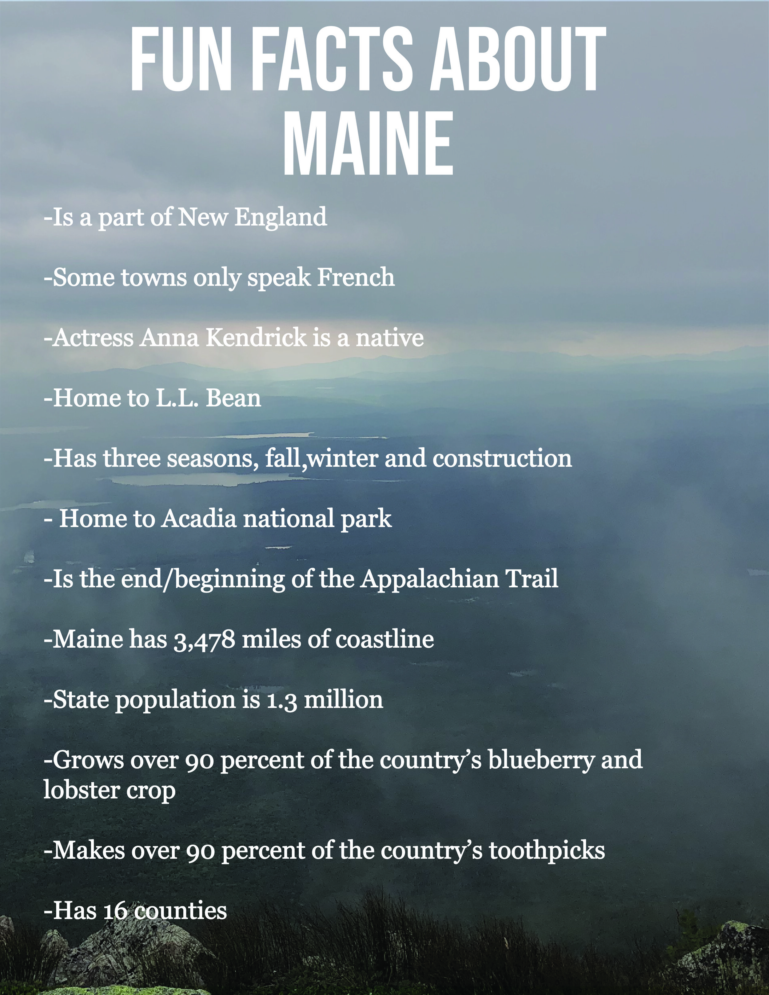 Maine Curation project2-02.jpg