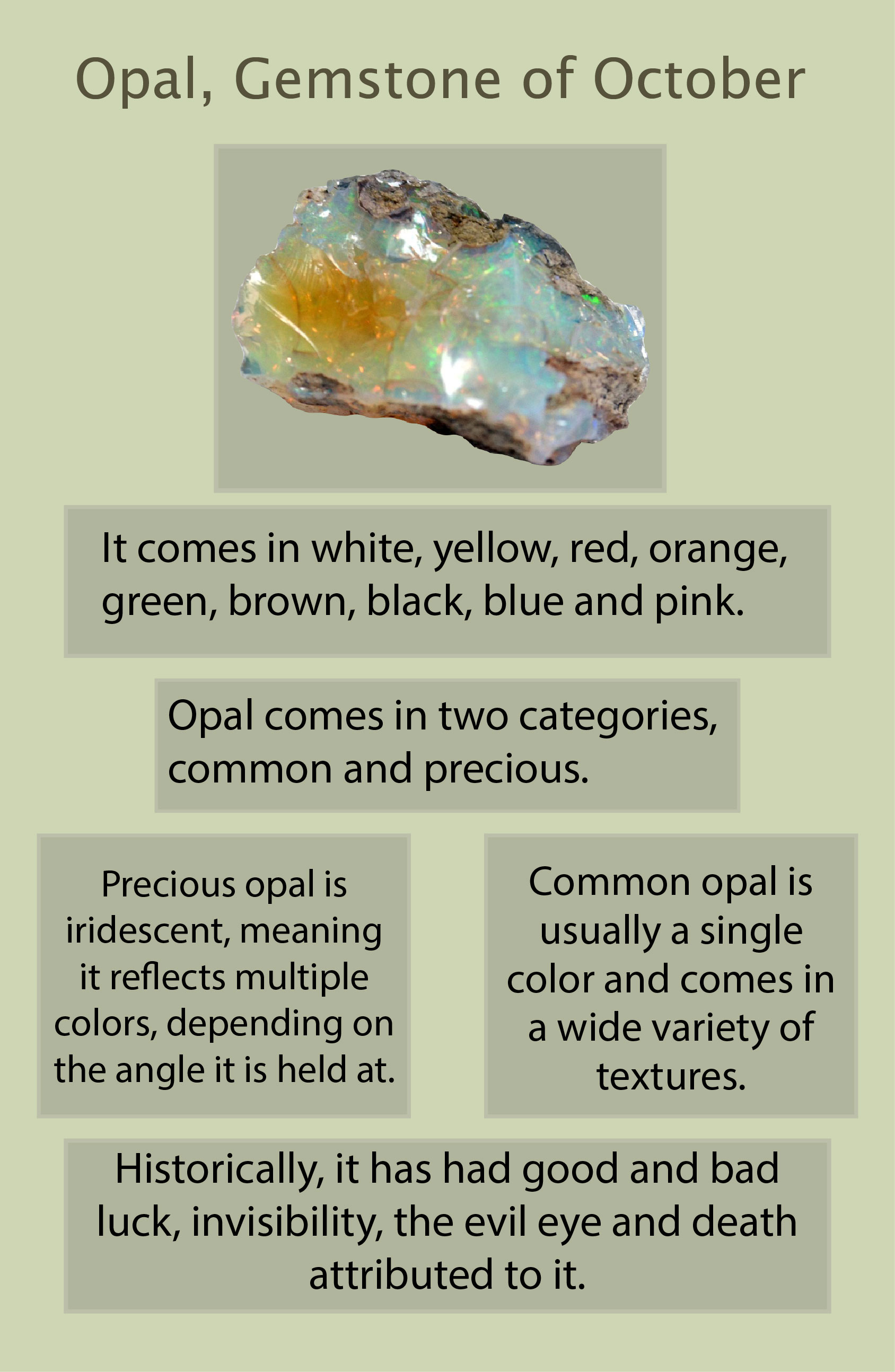 Here are a few fun facts of the month of Octobers gem, Opal.