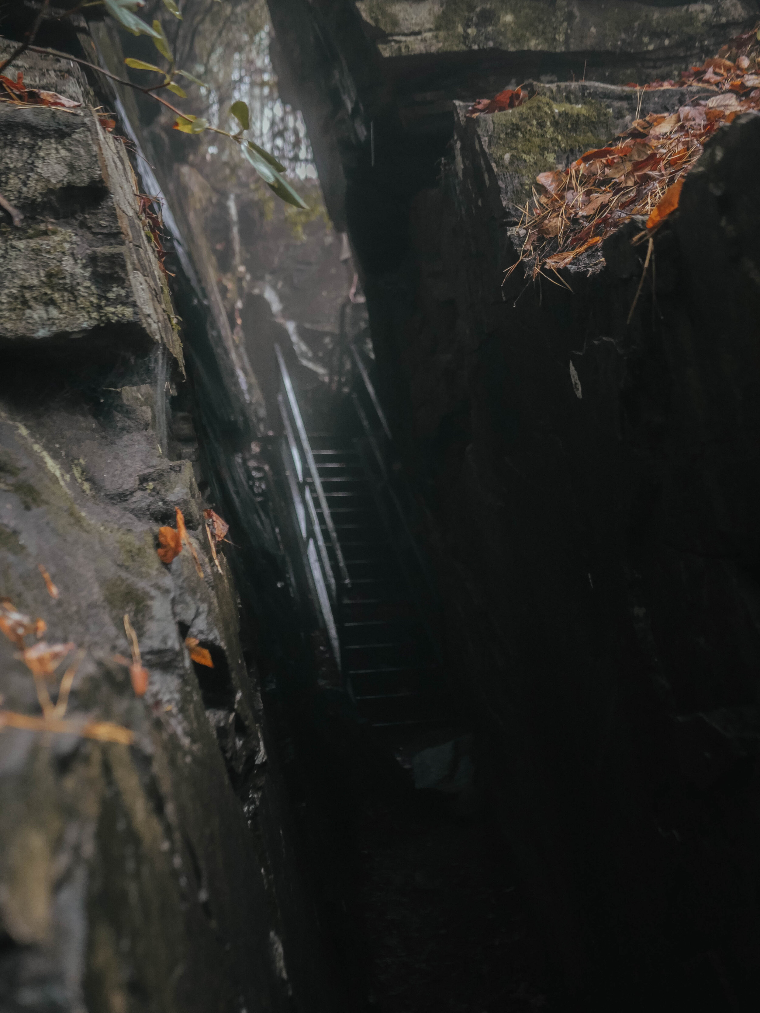 The light falling into The Devils Kitchen at Caesars Head is simply heavenly.