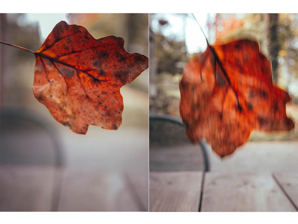 These images show the difference that shutter speed makes. The image on the left used a higher shutter speed so the leaf has no motion blur. The image on the right has a lower shutter speed so the leaf has more motion blur.