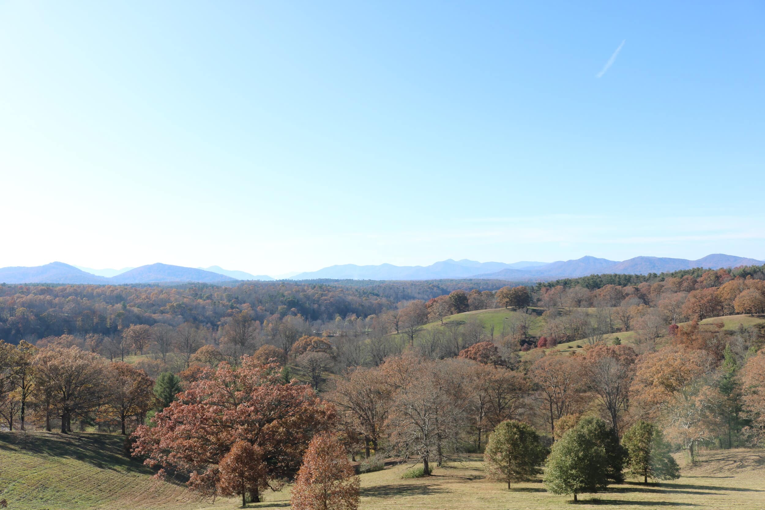 The view of the Blue Ridge mountains and the Biltmore Estate acreage from the Loggia on the back of the Biltmore House.