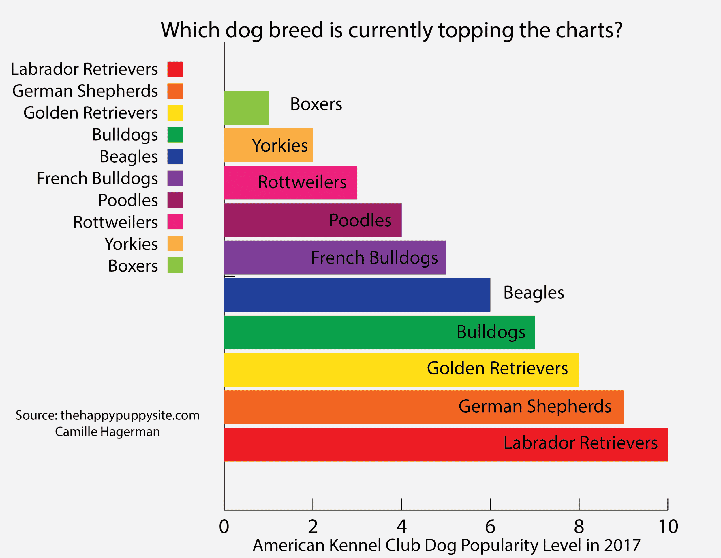 dogbreeds (1 camille hagermann).png