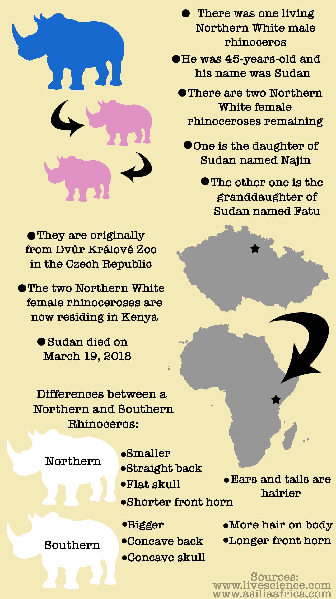 infographic_rhino - practicum2.jpg