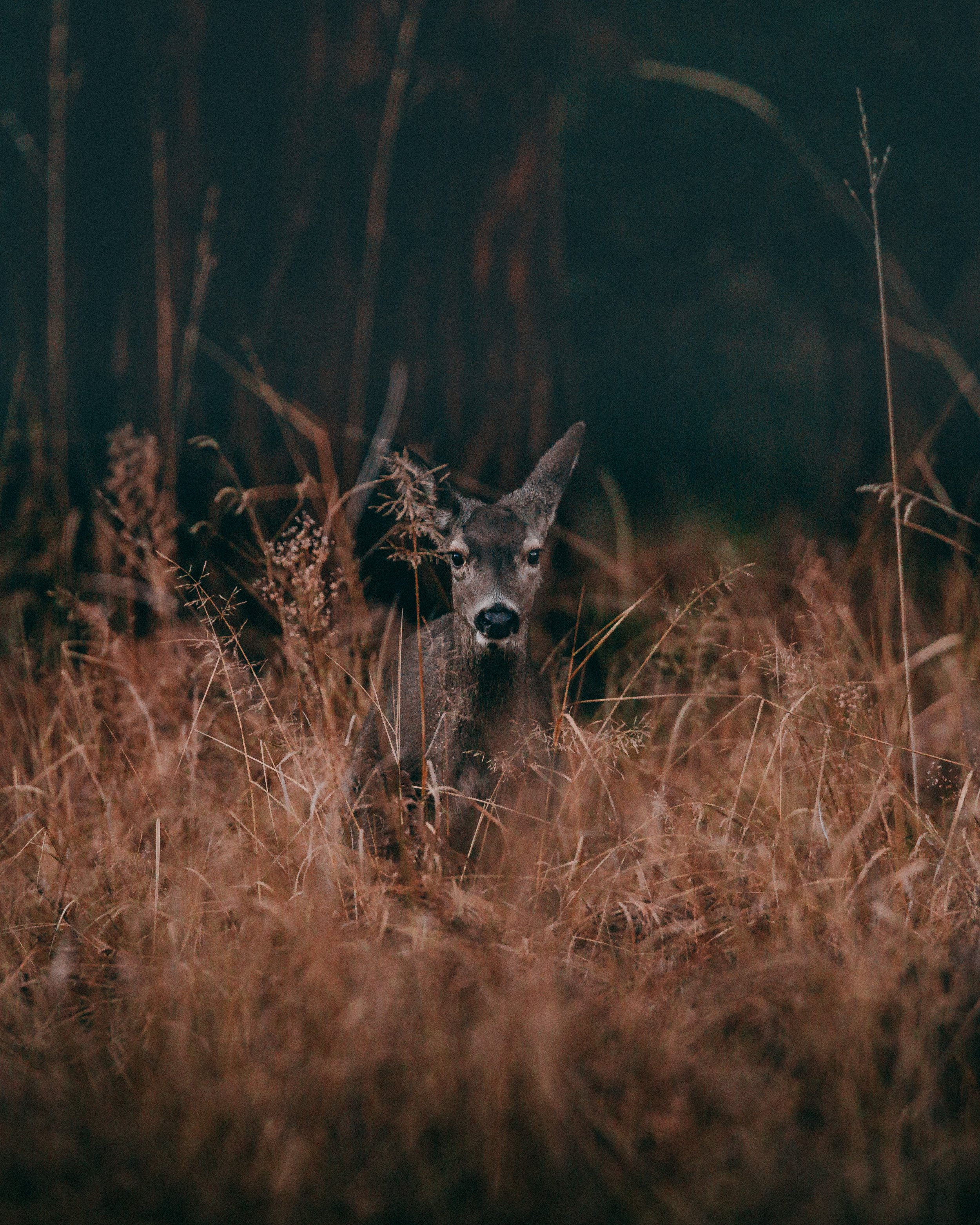 Picture courtesy of Unsplash.com