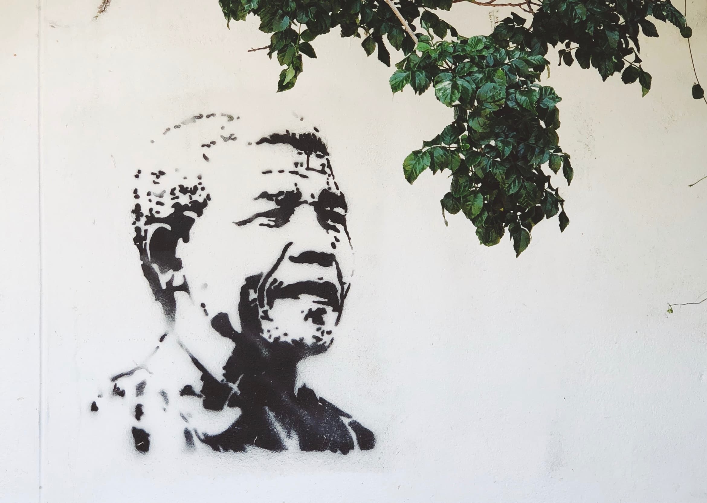 Nelson Mandela. Photo courtesy of Unsplash.