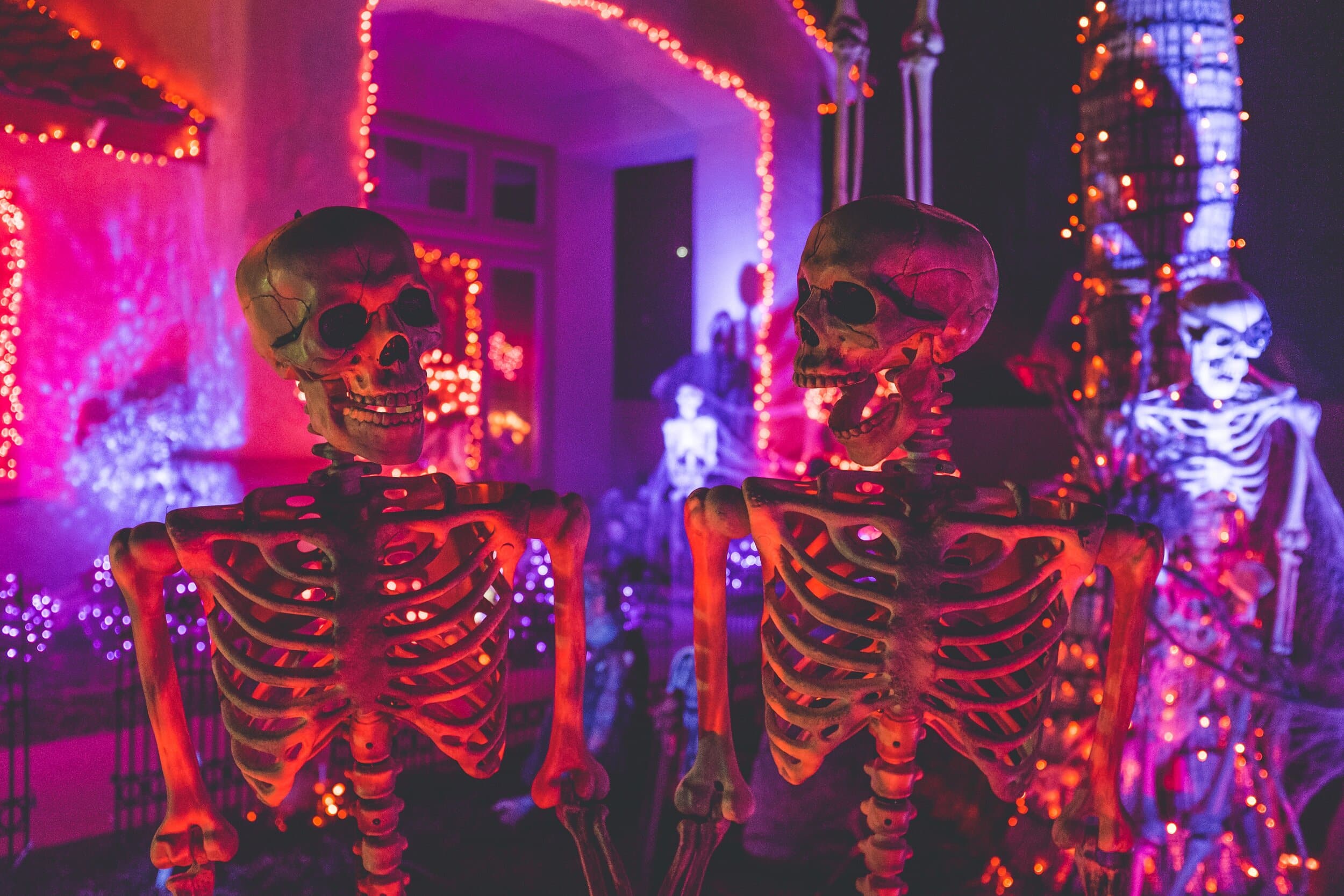 Look at these skeletons. They also have trouble choosing costumes. (Unsplash.com)