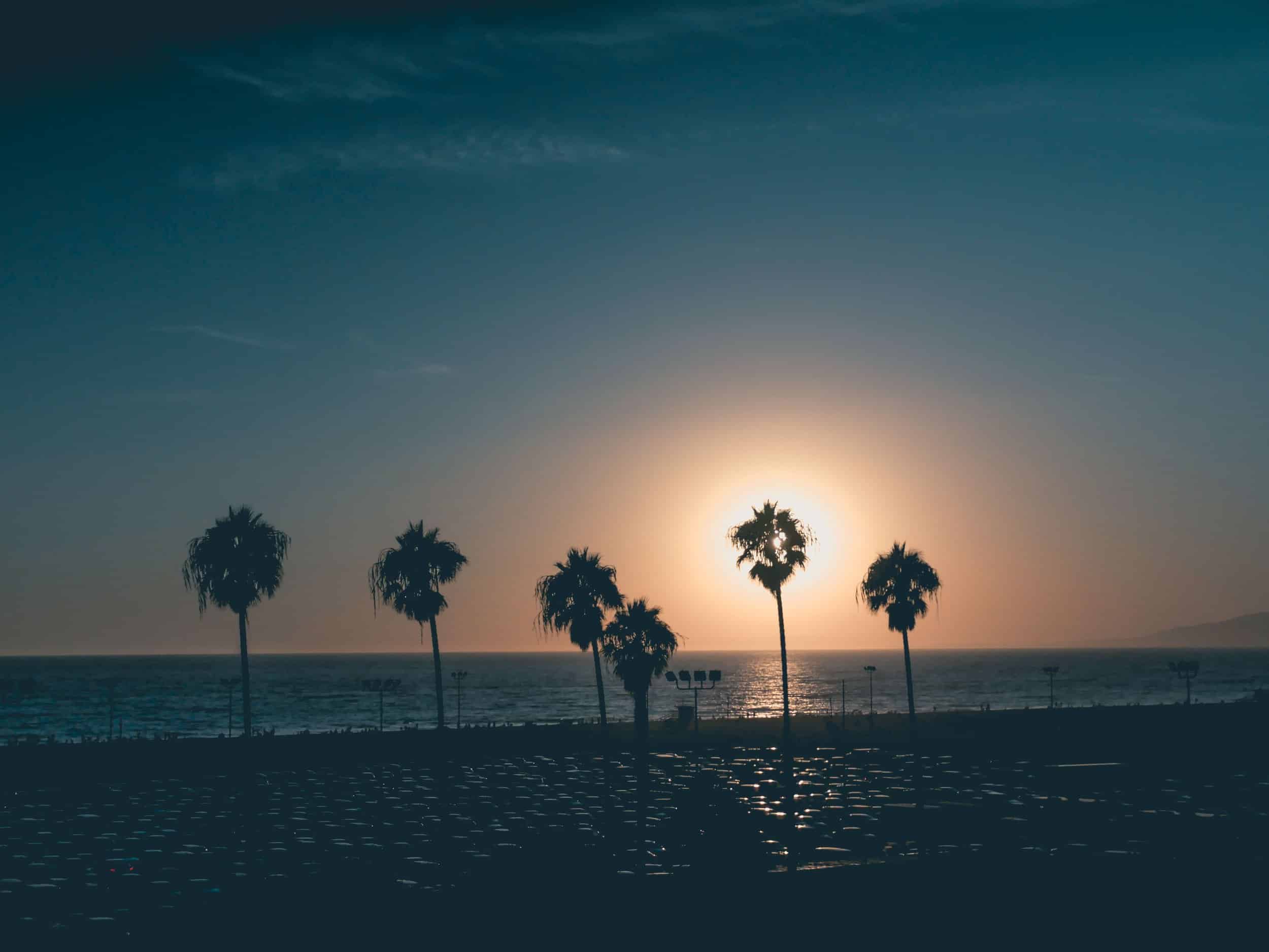 Picture courtesy of Unsplash.com