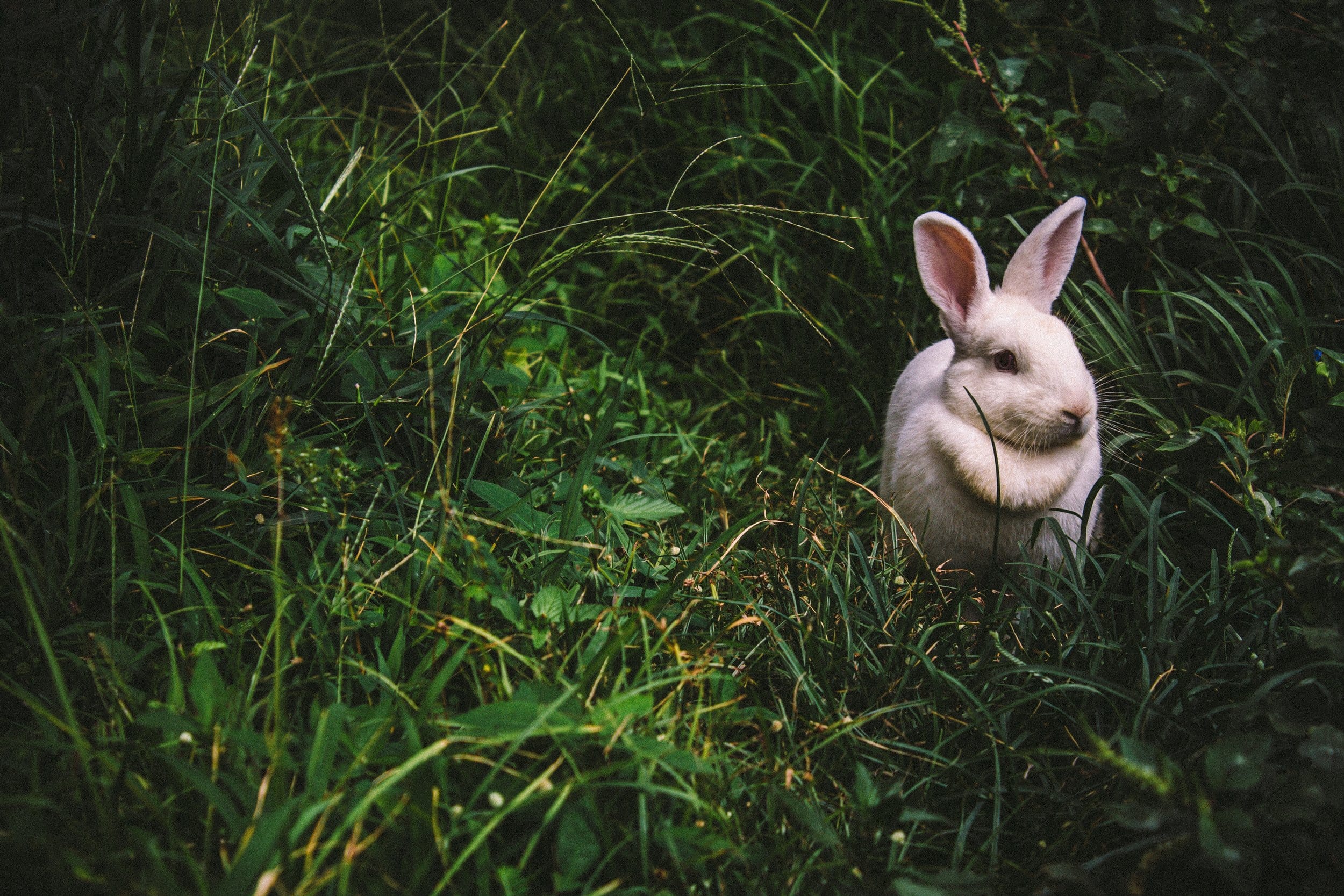 Picture courtesy of unsplash.com