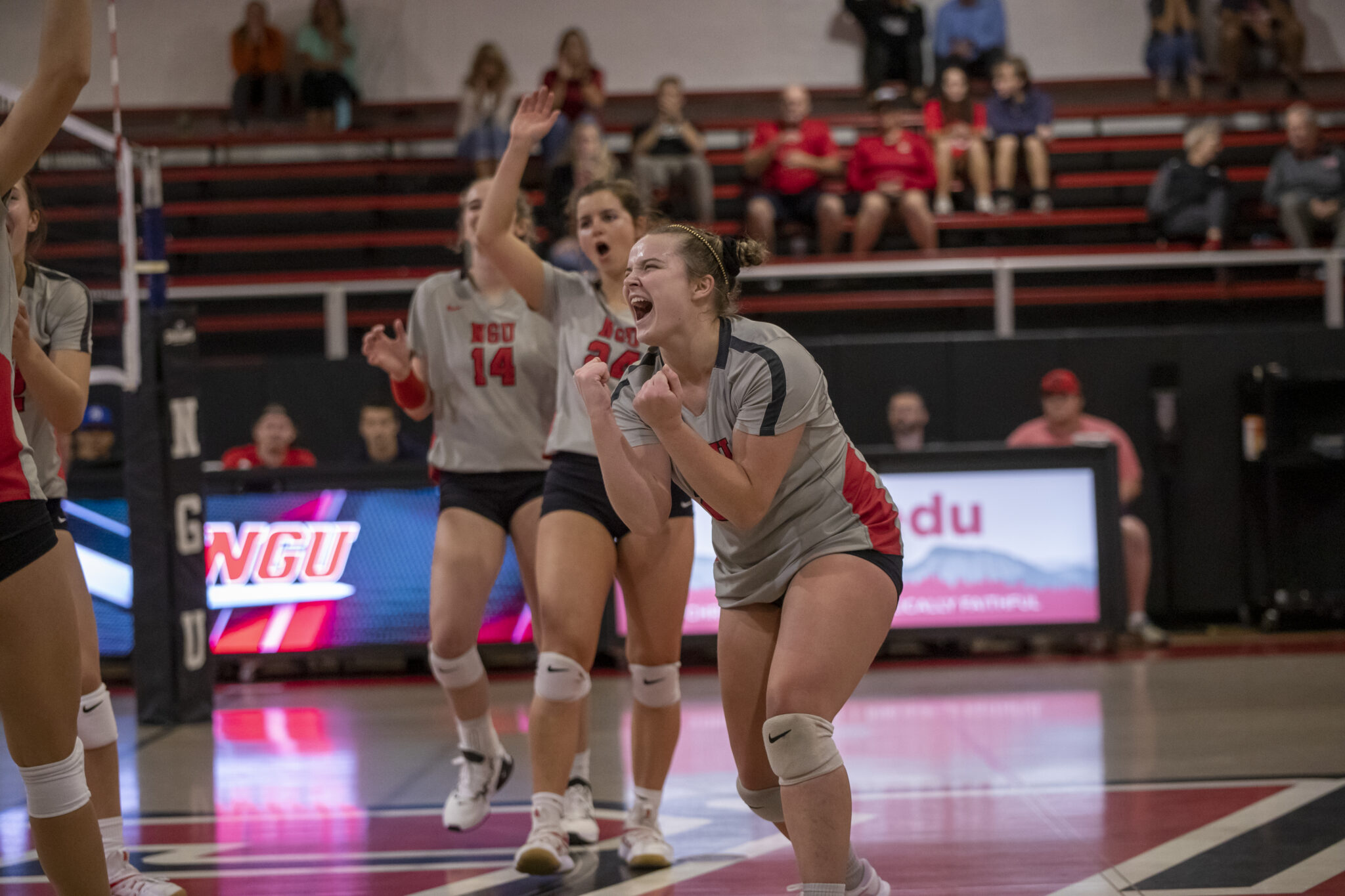 Their seasons are just as striking as their plays What’s new with men’s and women’s volleyball