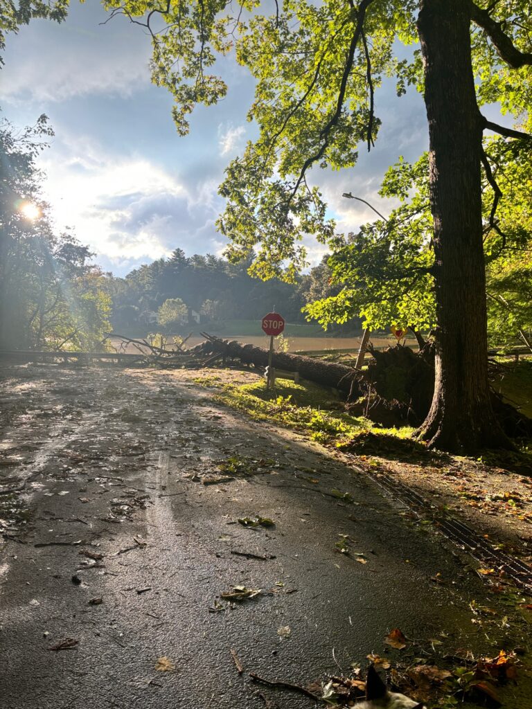 Powerful Hurricane Helene has battered Asheville 