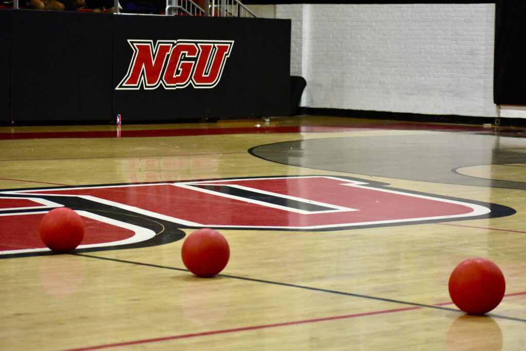 Game, set, dodge: NGU dodgeball game