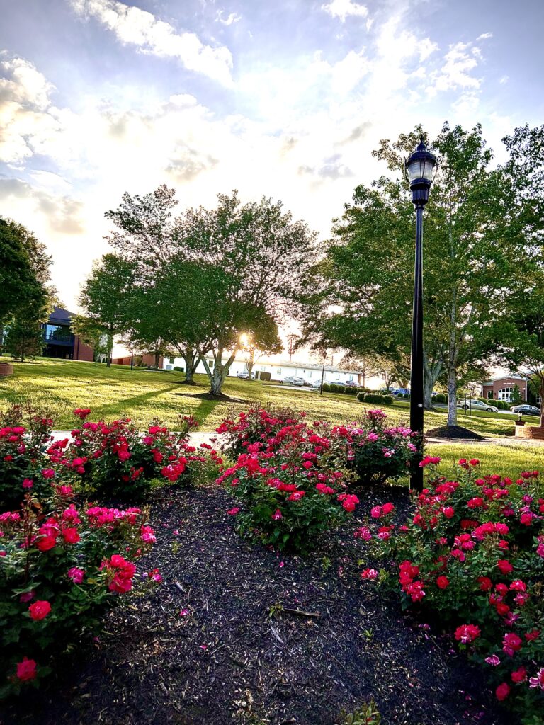 Farewell to North Greenville University: Reflecting on my time as a student