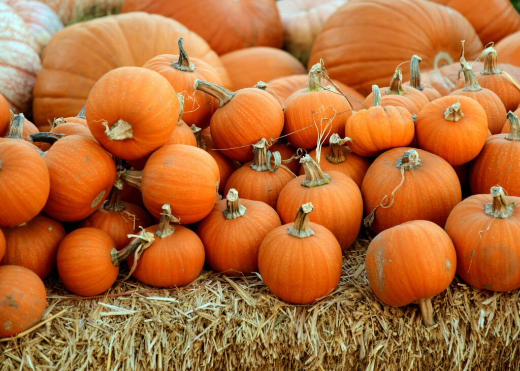 Pumpkin spice takes over the world… again